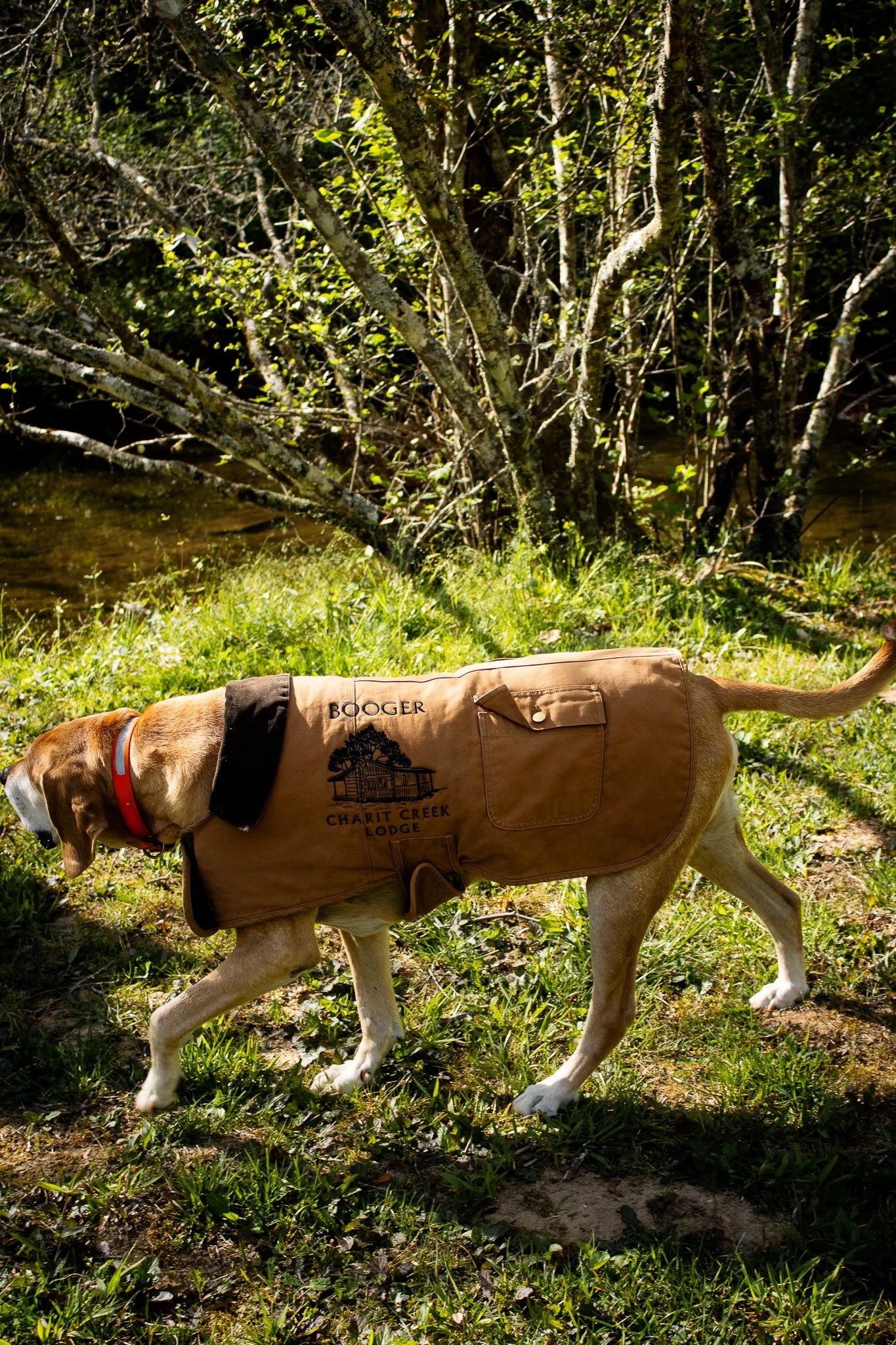 Charit-Creek-Shoot-120.jpg