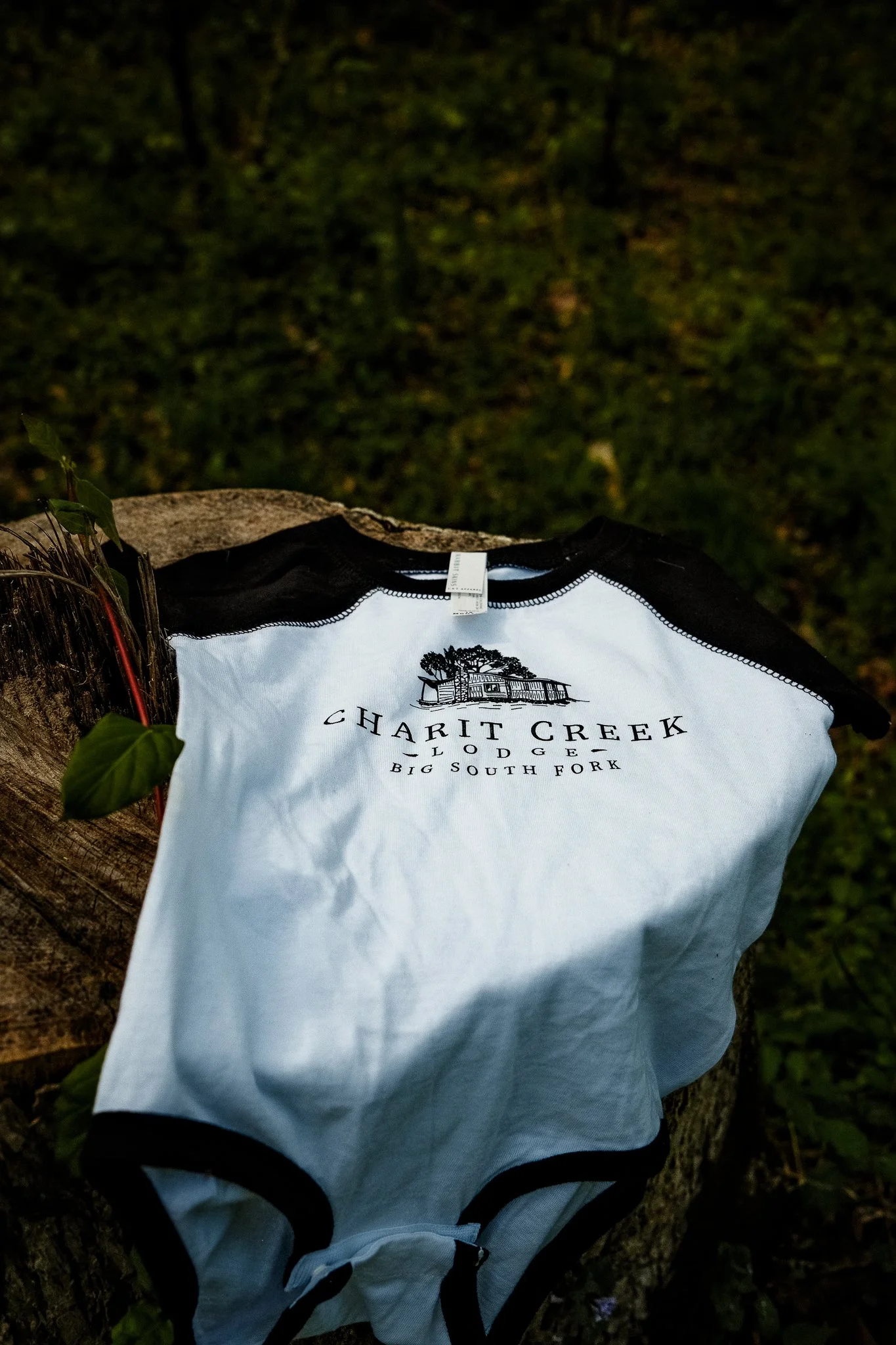 Charit-Creek-Shoot-181.jpg