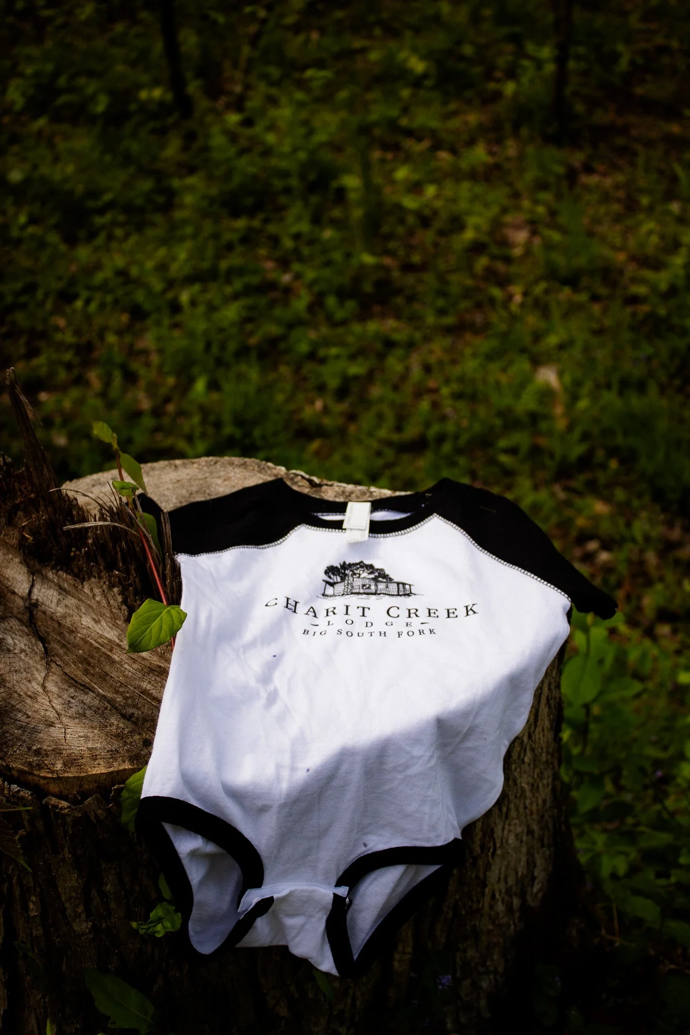 Charit-Creek-Shoot-179.jpg