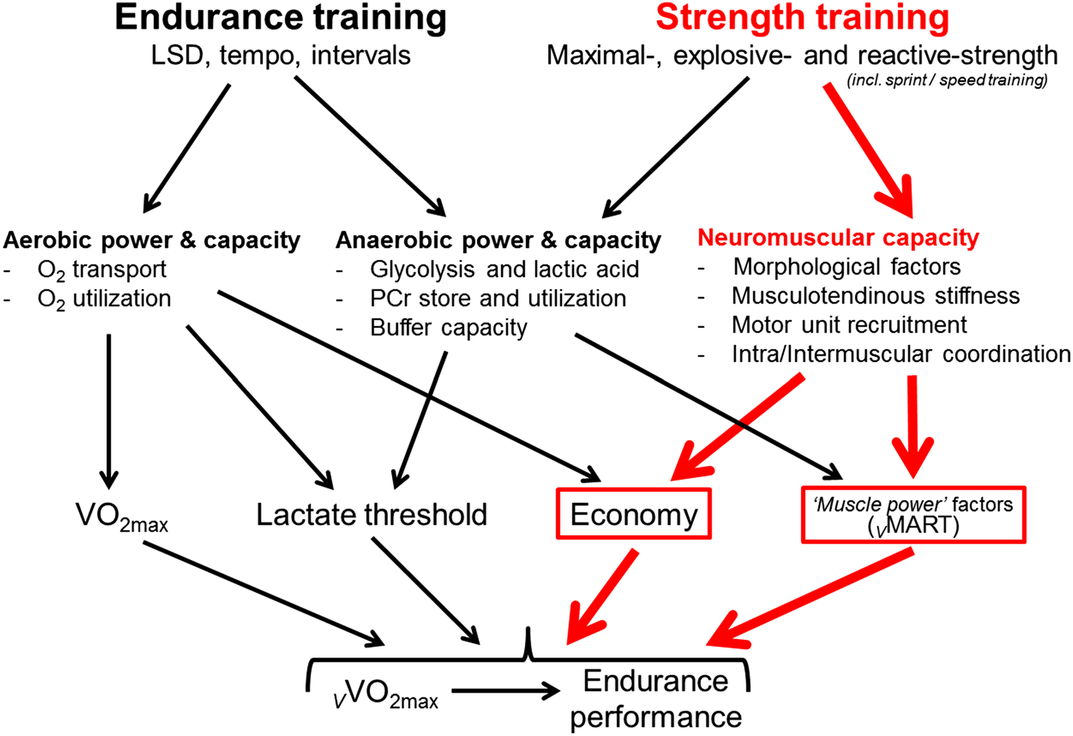 Image taken from: Beattie K, Kenny IC, Lyons M, Carson BP (2014) The effect of strength training on performance in endurance athletes. Sports Med 44: 845-865.