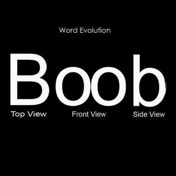 How Many Ways Can You Say the Word Boobs? — The Booby Pillow