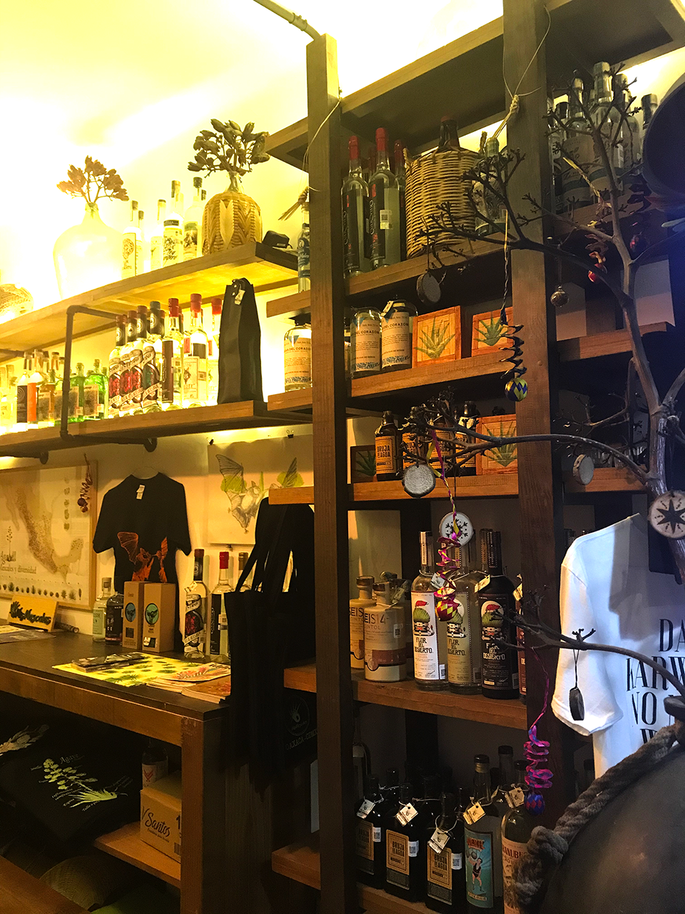 mismezcales-cdmx-interior-02.png