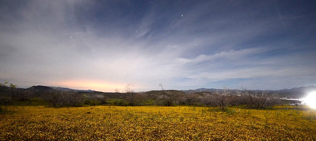 Saturday evening March 12
