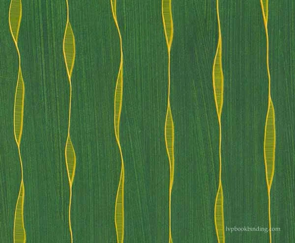 Seed-Pod-Paste-Paper.jpg