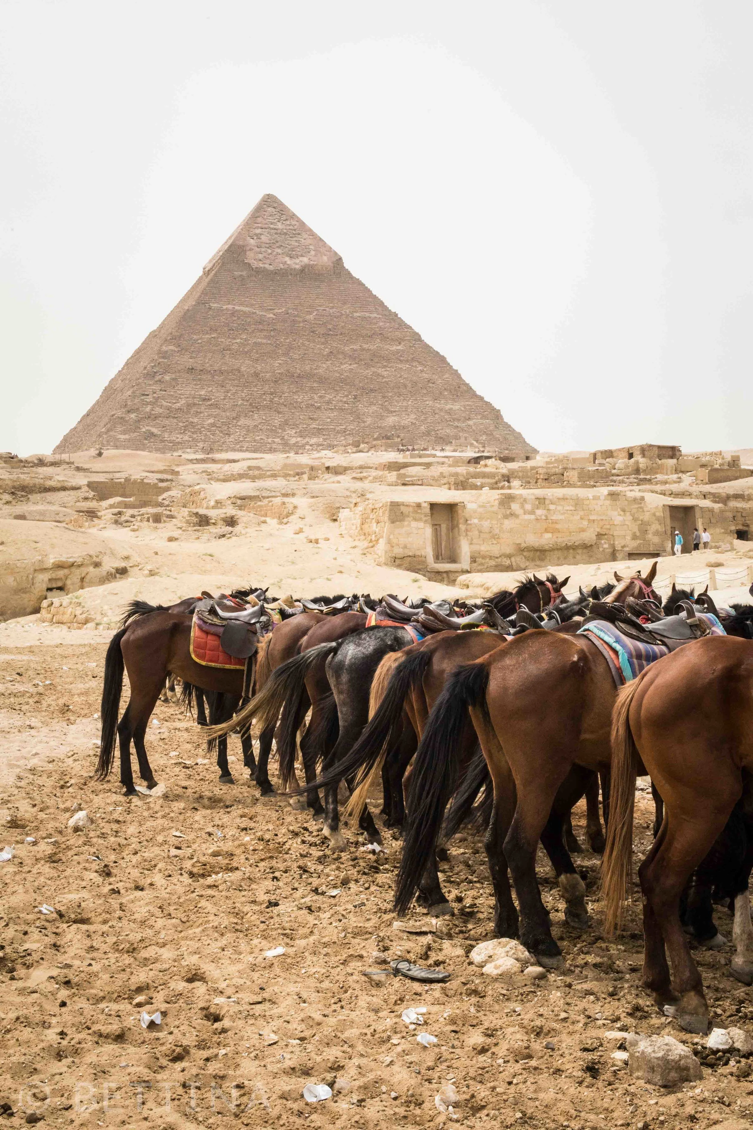 cairo-1.jpg