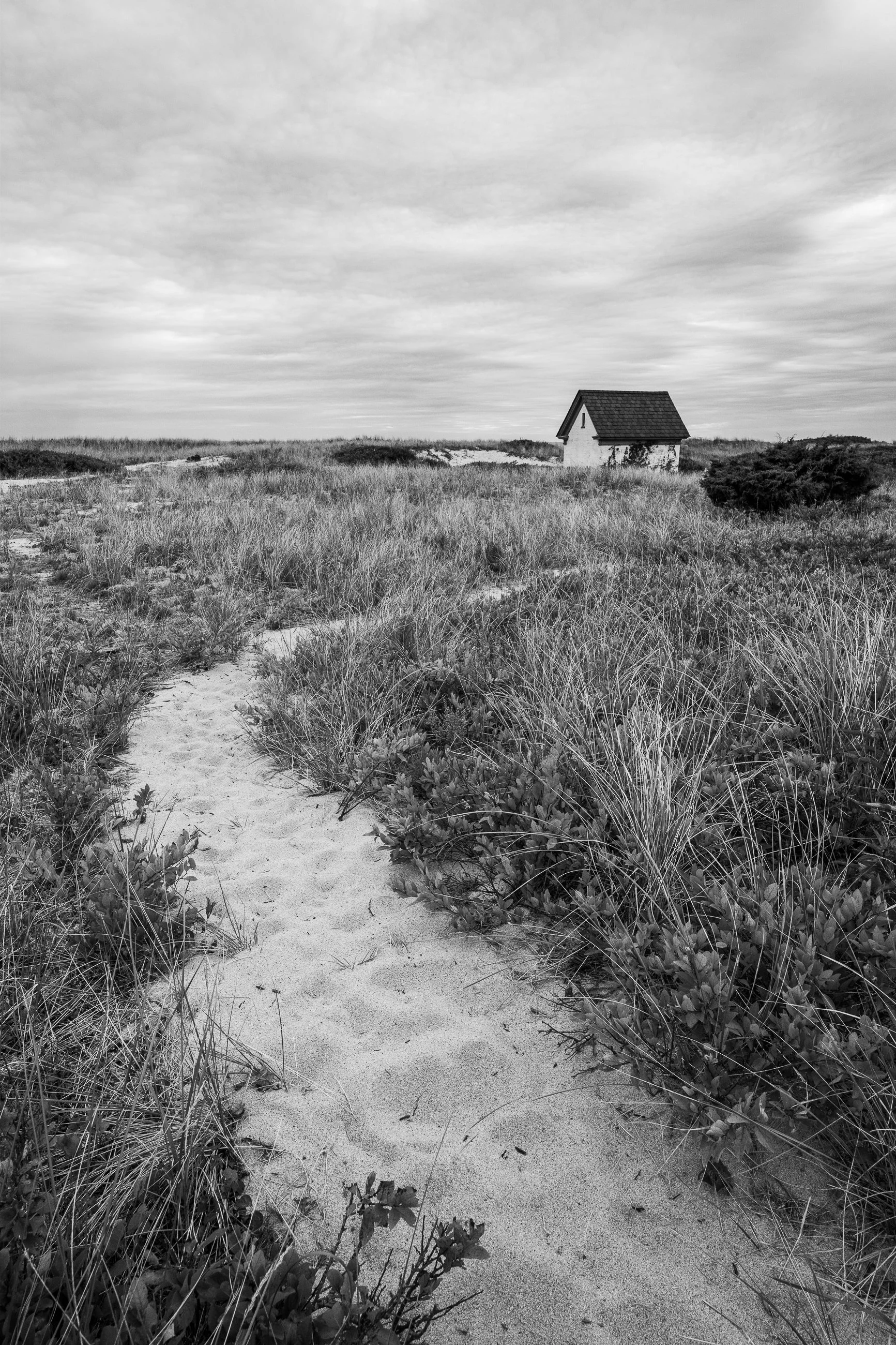 What Waits Ahead.jpg