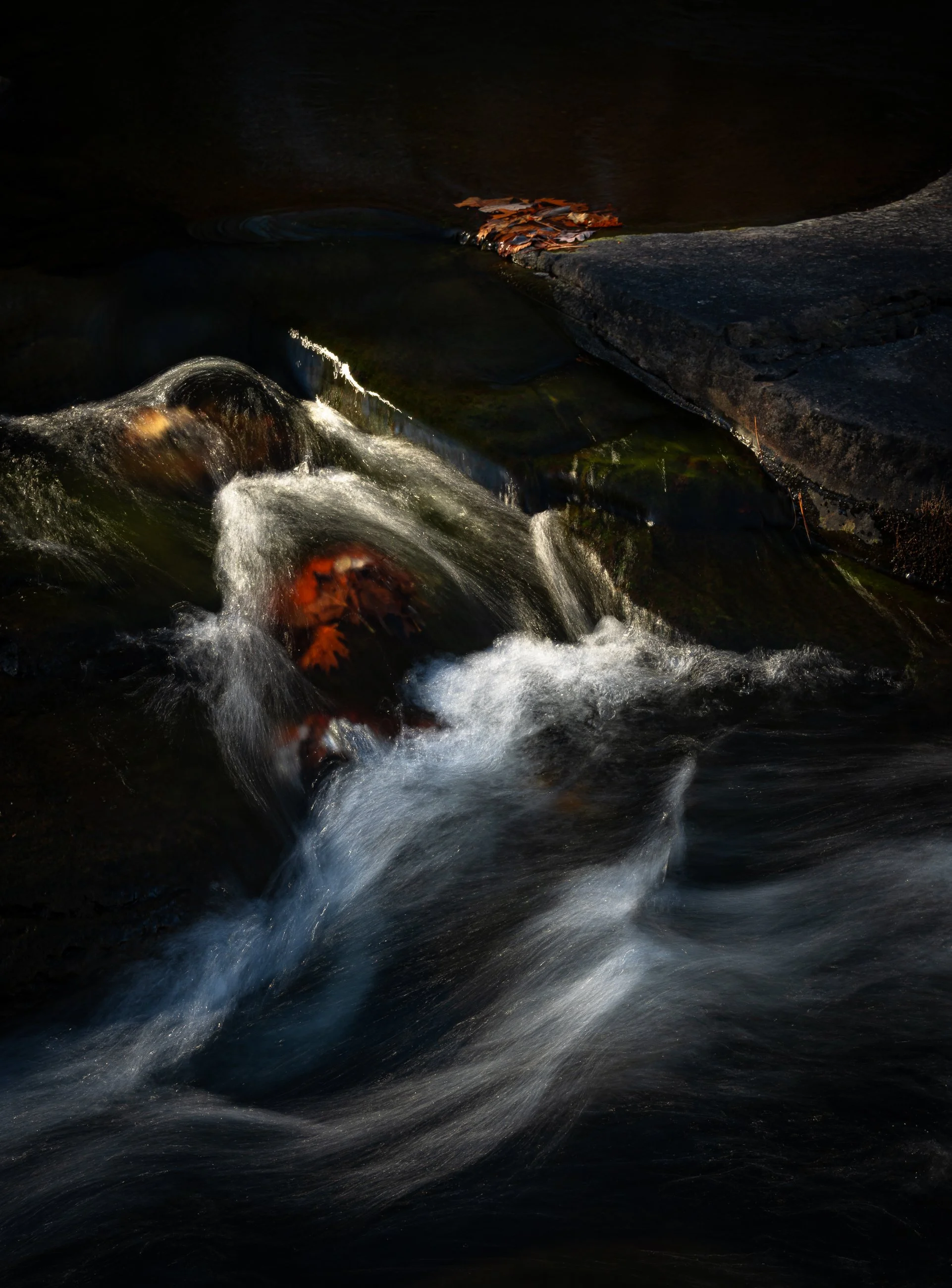 Yielding to the Current:  
Leaves lie pinned beneath rushing water, held fast as the current sweeps over them in silken waves. The water moves with relentless grace, transforming their stillness into something luminous—a swirling choreography of ligh