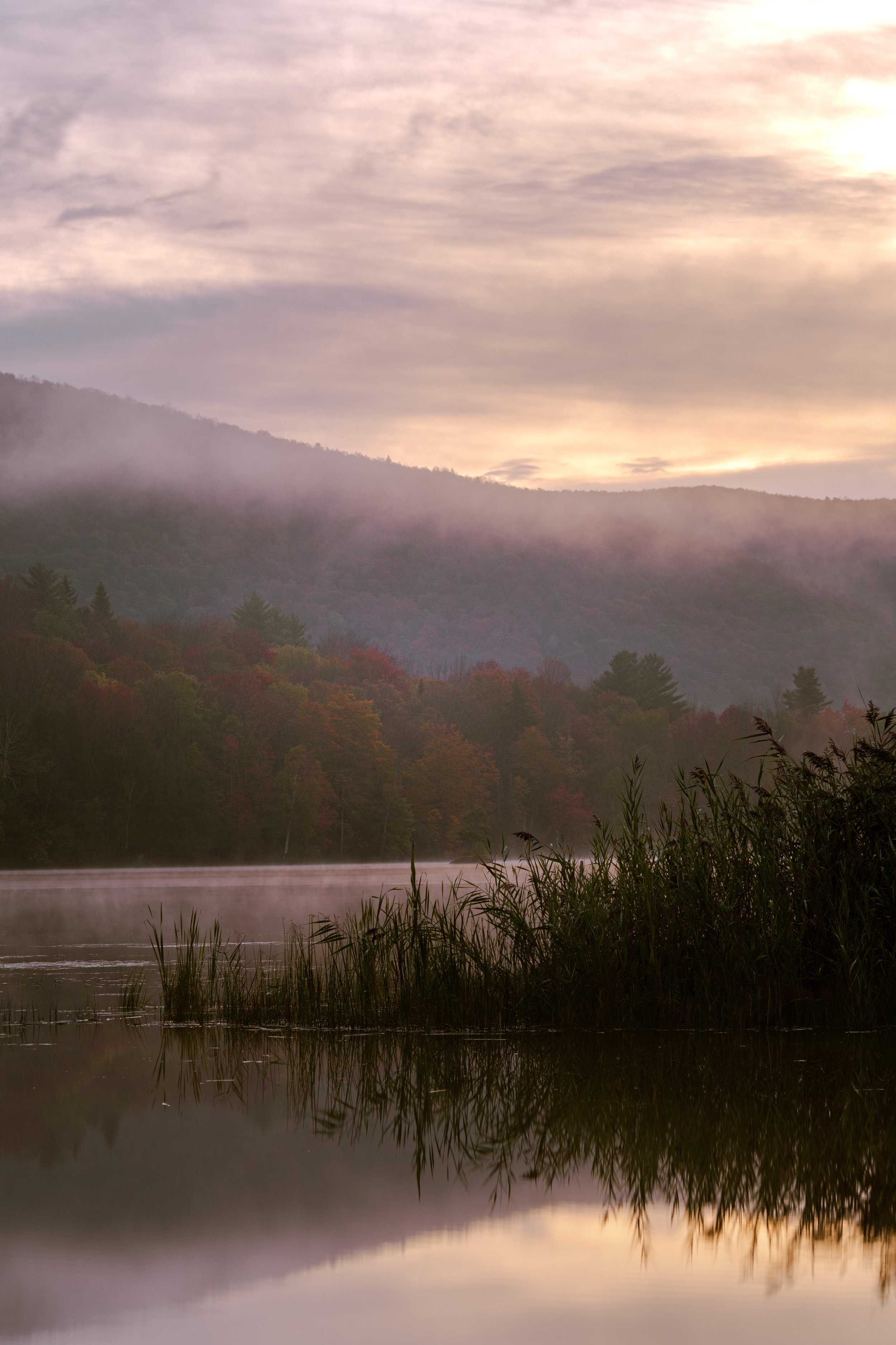 Vermont Morning.jpg