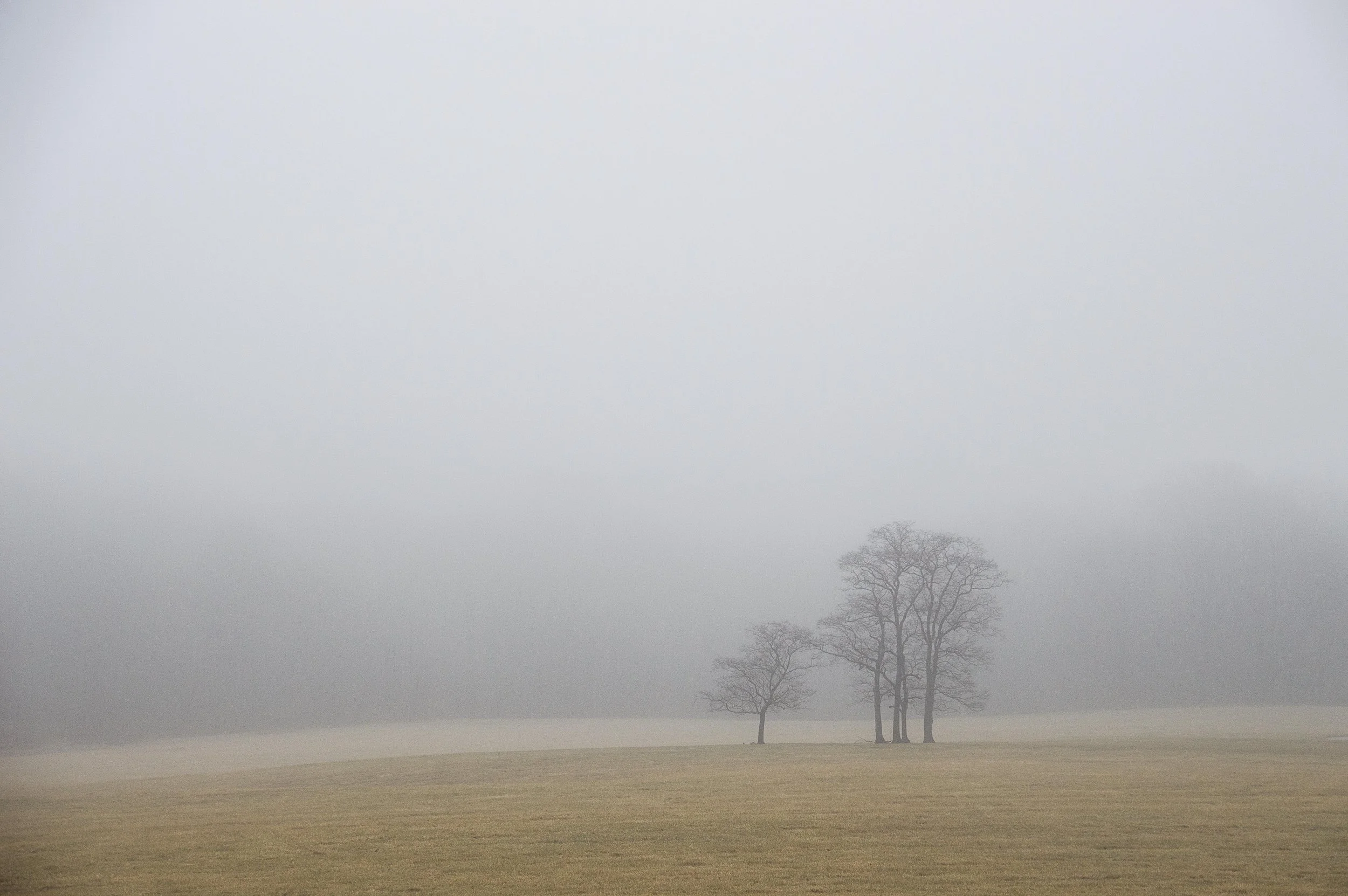 DSC_0773.jpg