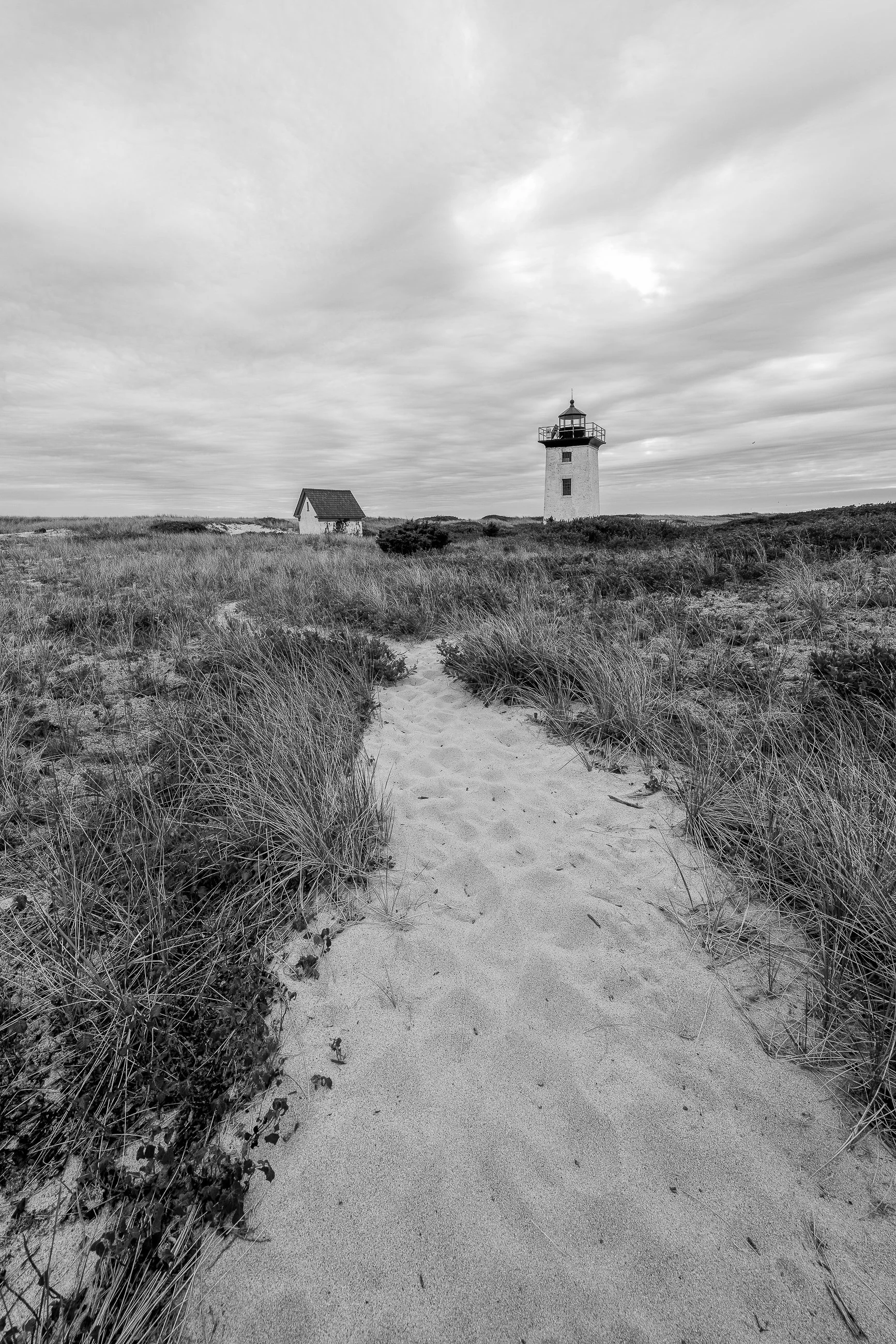 The Outer Cape-The Long Return