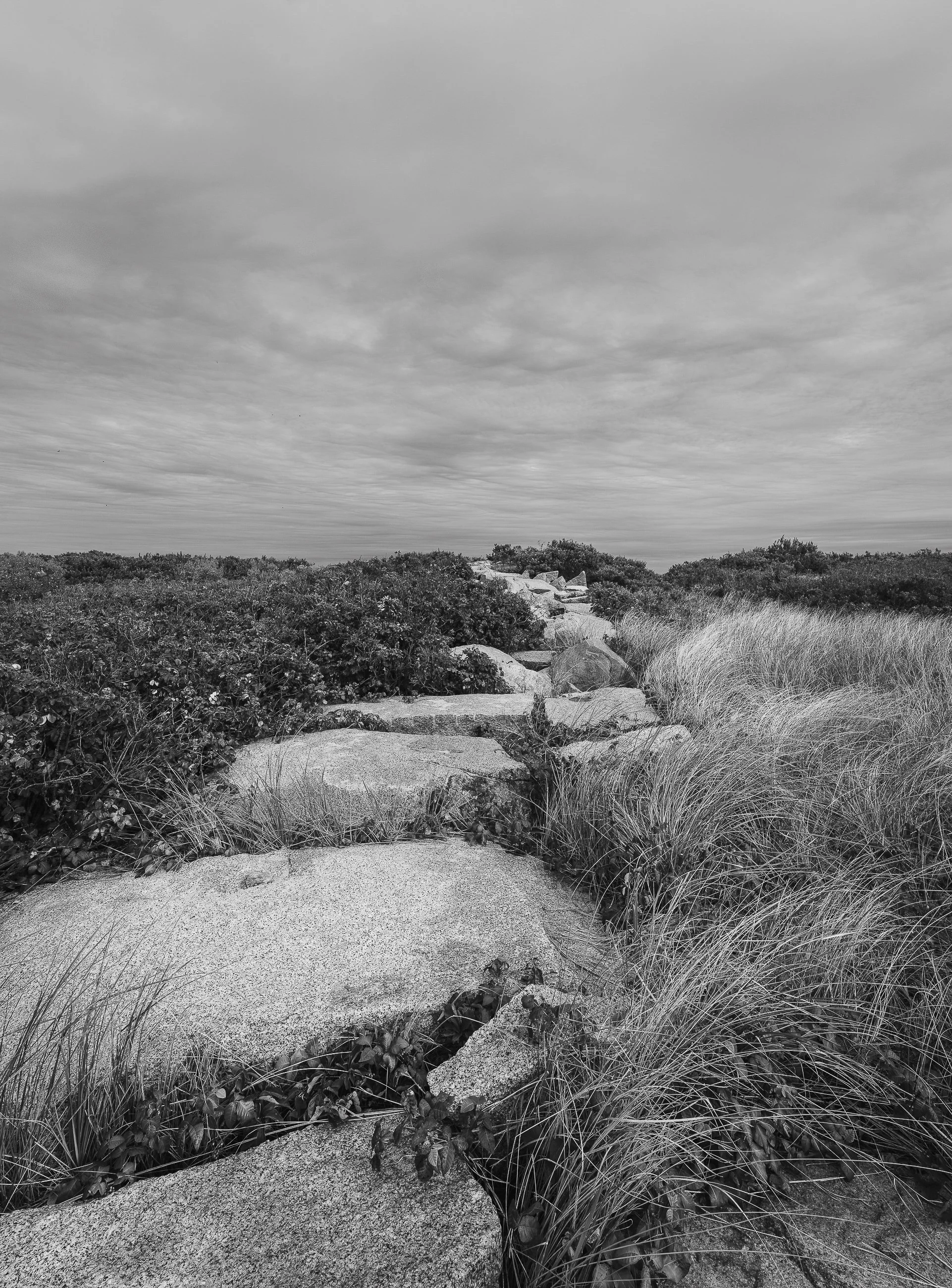 The Last Mile:
Every journey contracts at its end, the path narrowing into inevitability. This stretch of sand, neither dramatic nor grand, carries the gravity of completion. Its modest turn suggests that endings are rarely sudden; they taper, diss