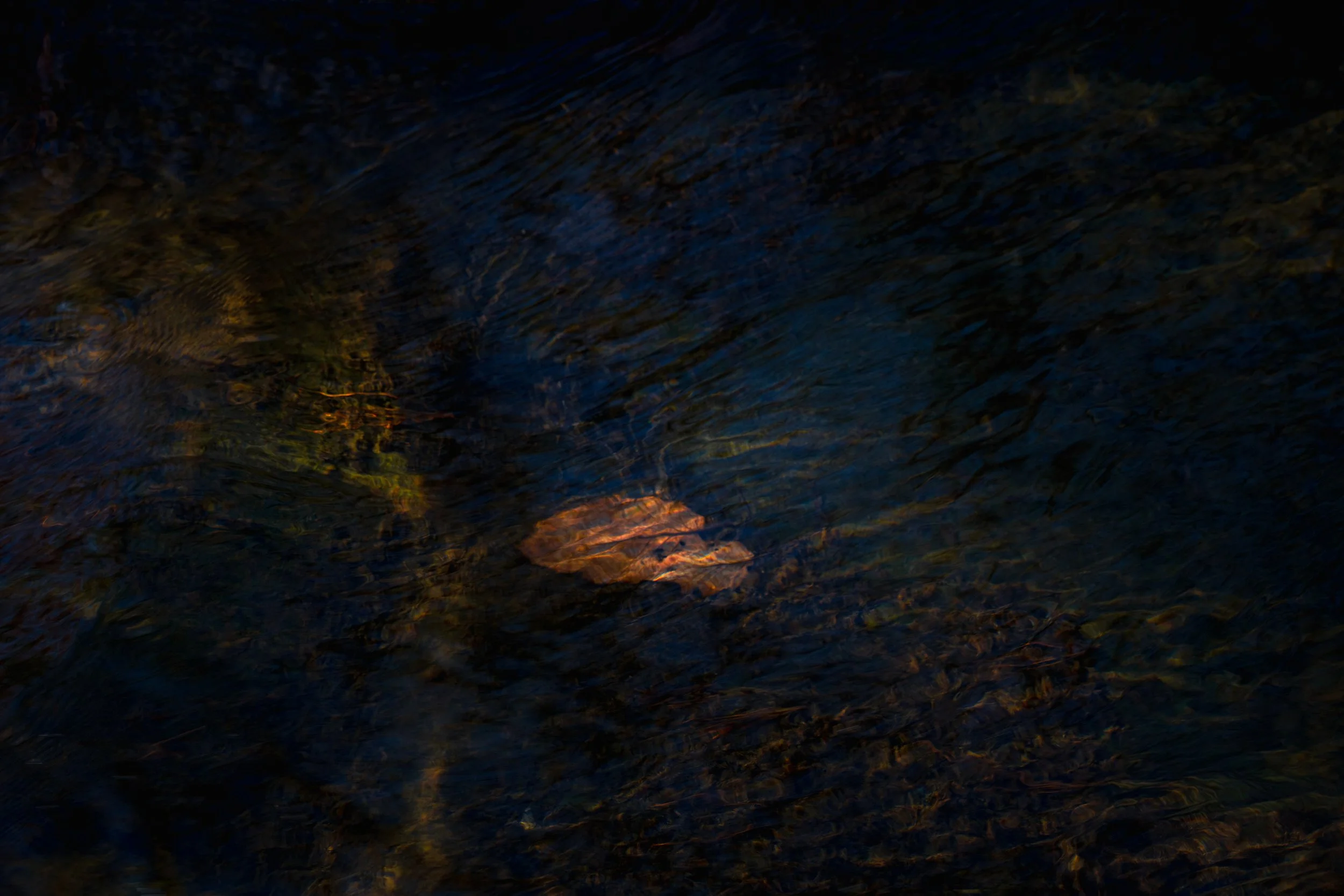 A Luminous Surrender.jpg