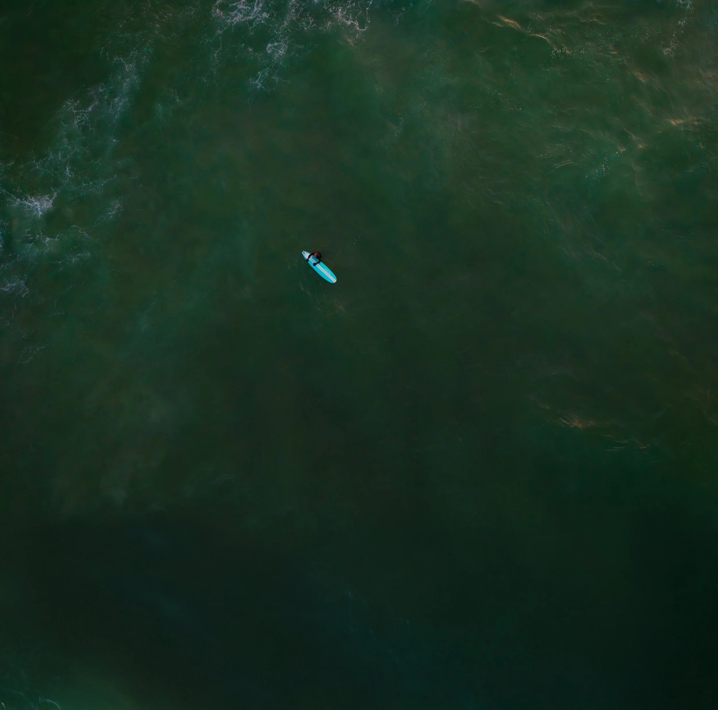 WHEN THE OCEAN ASKS AGAIN social media.jpg