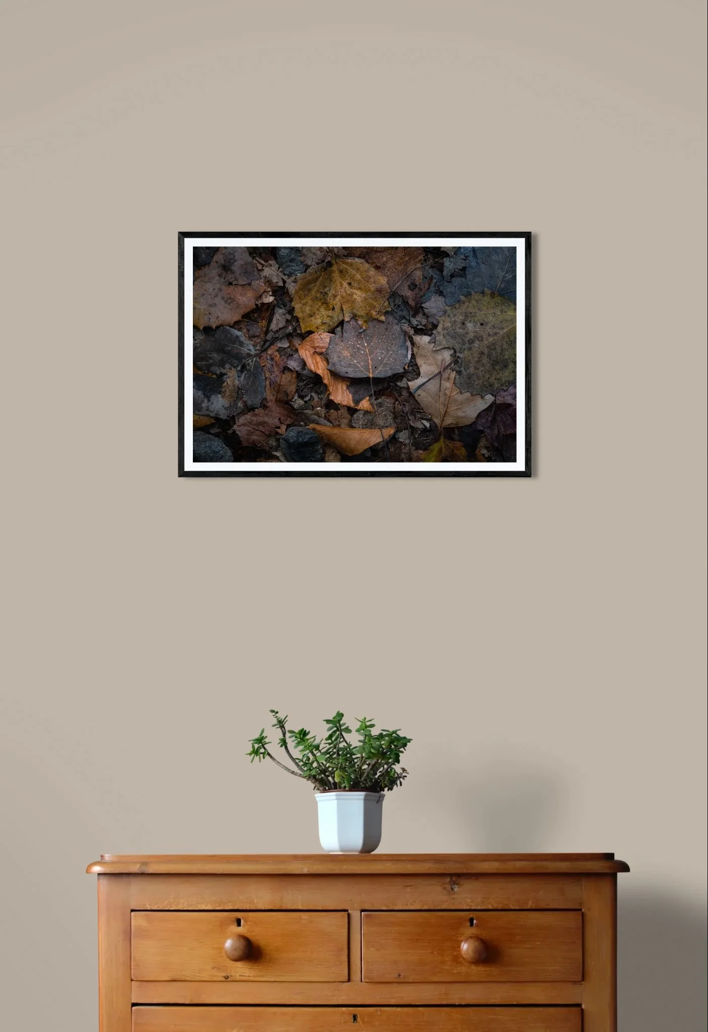 Collected Light.jpeg