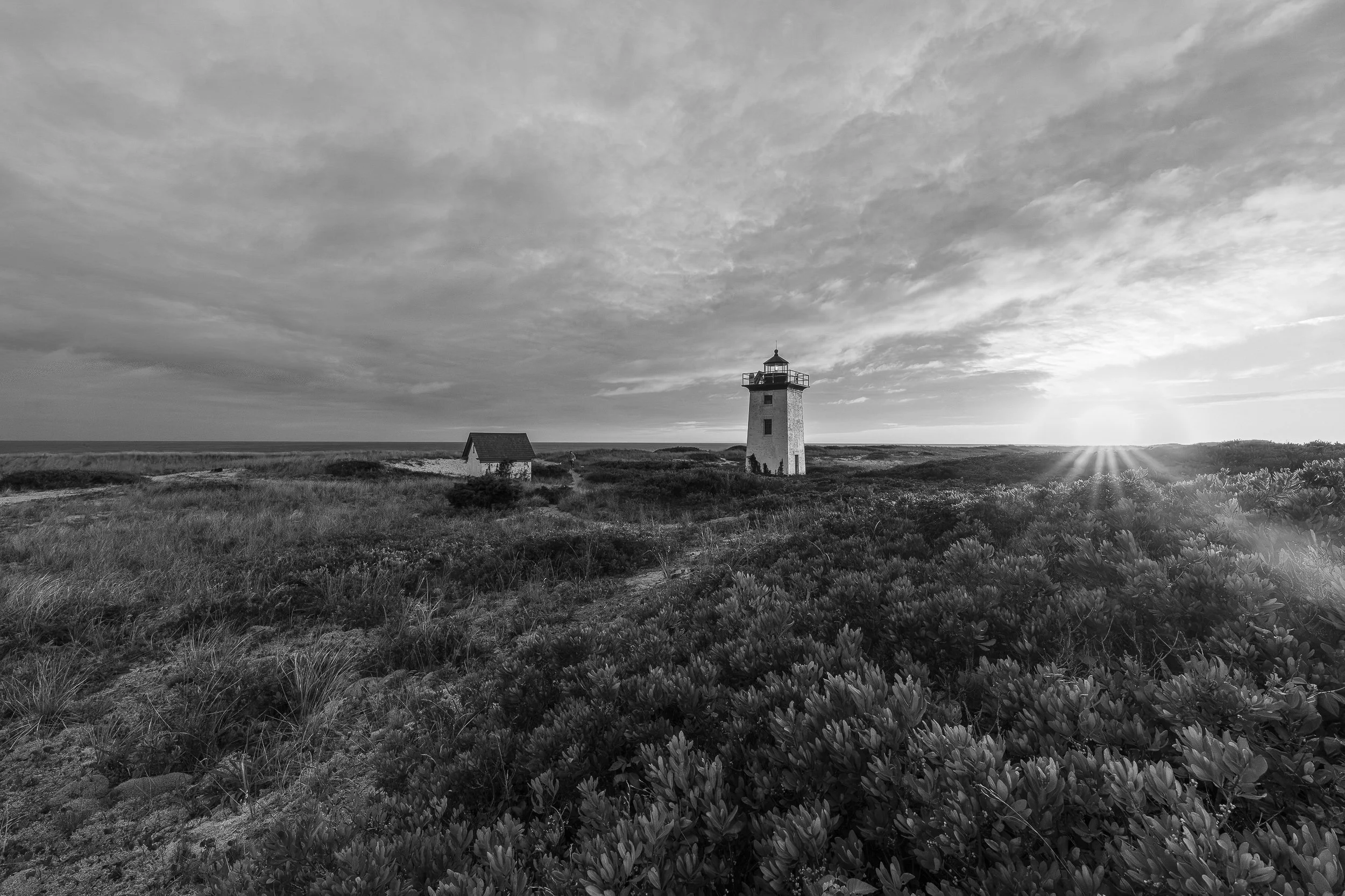 The Outer Cape - Remains of Today
