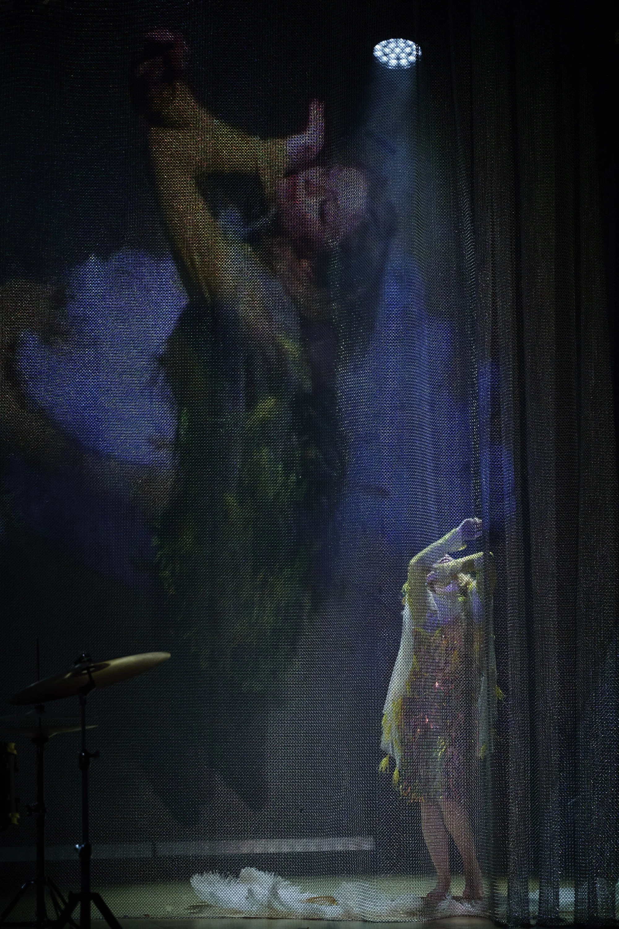  Photography by Ros Kavanagh 