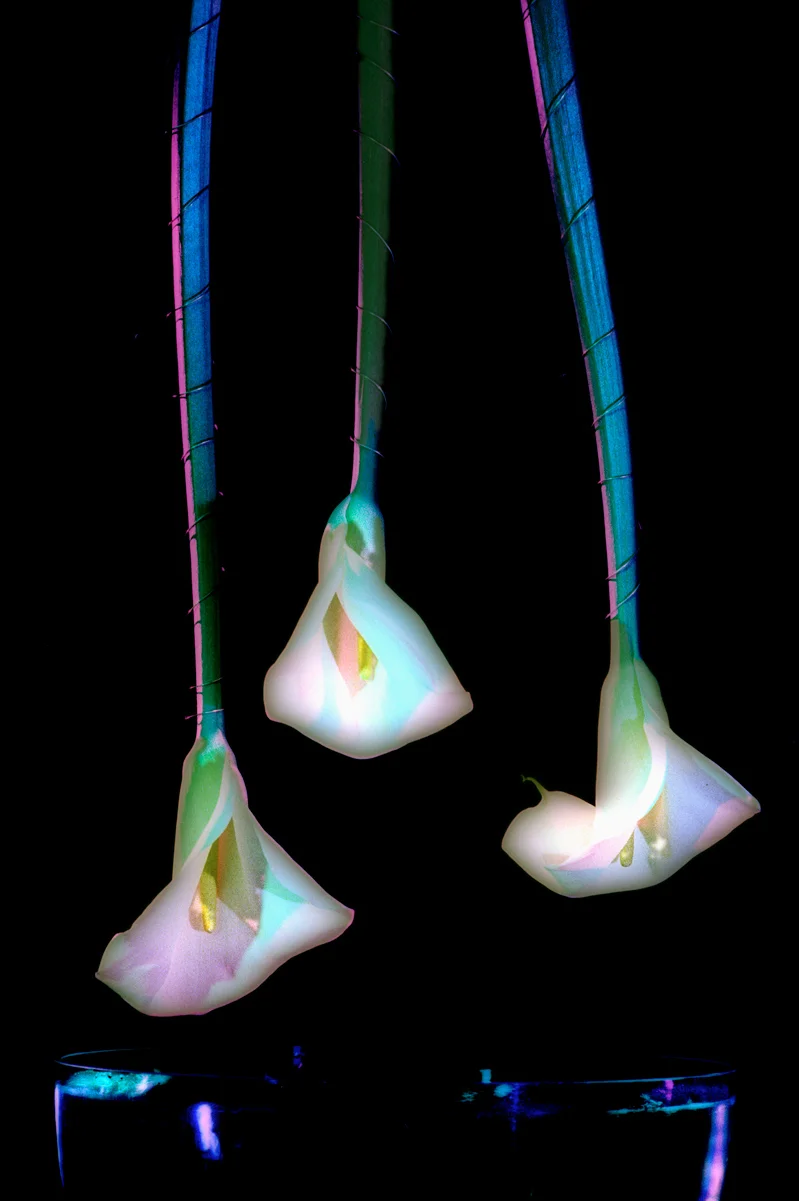  First solo show, Galerie 303, 1997. Exploration of colored gels using chromatic film, cross processed. This show was also shown in Strasbourg, France 1999. 