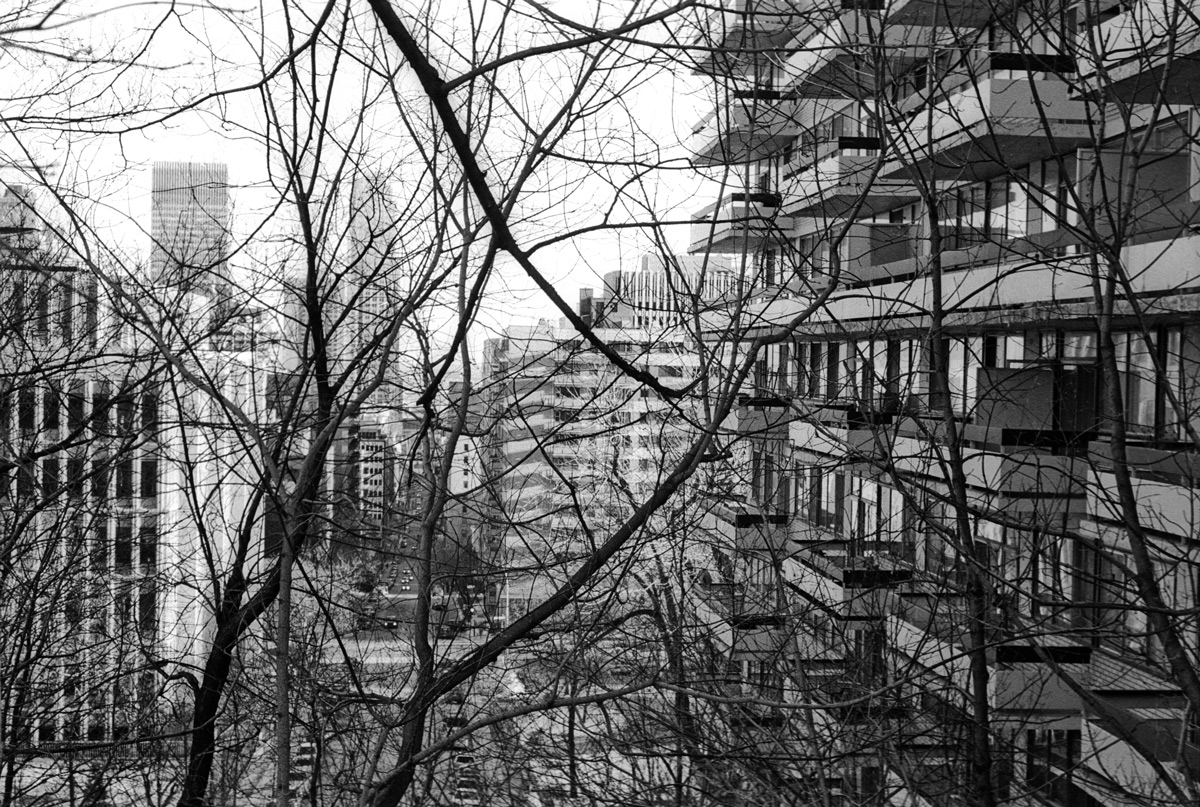 Avenue des Pins, Montréal