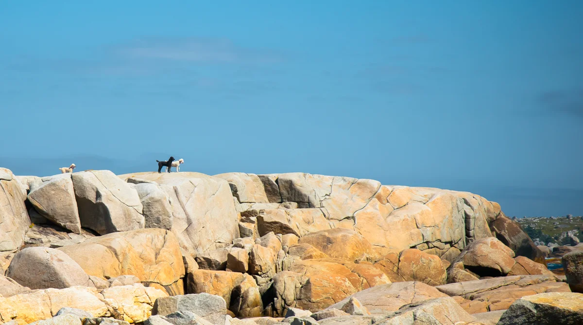 Peggy's Cove