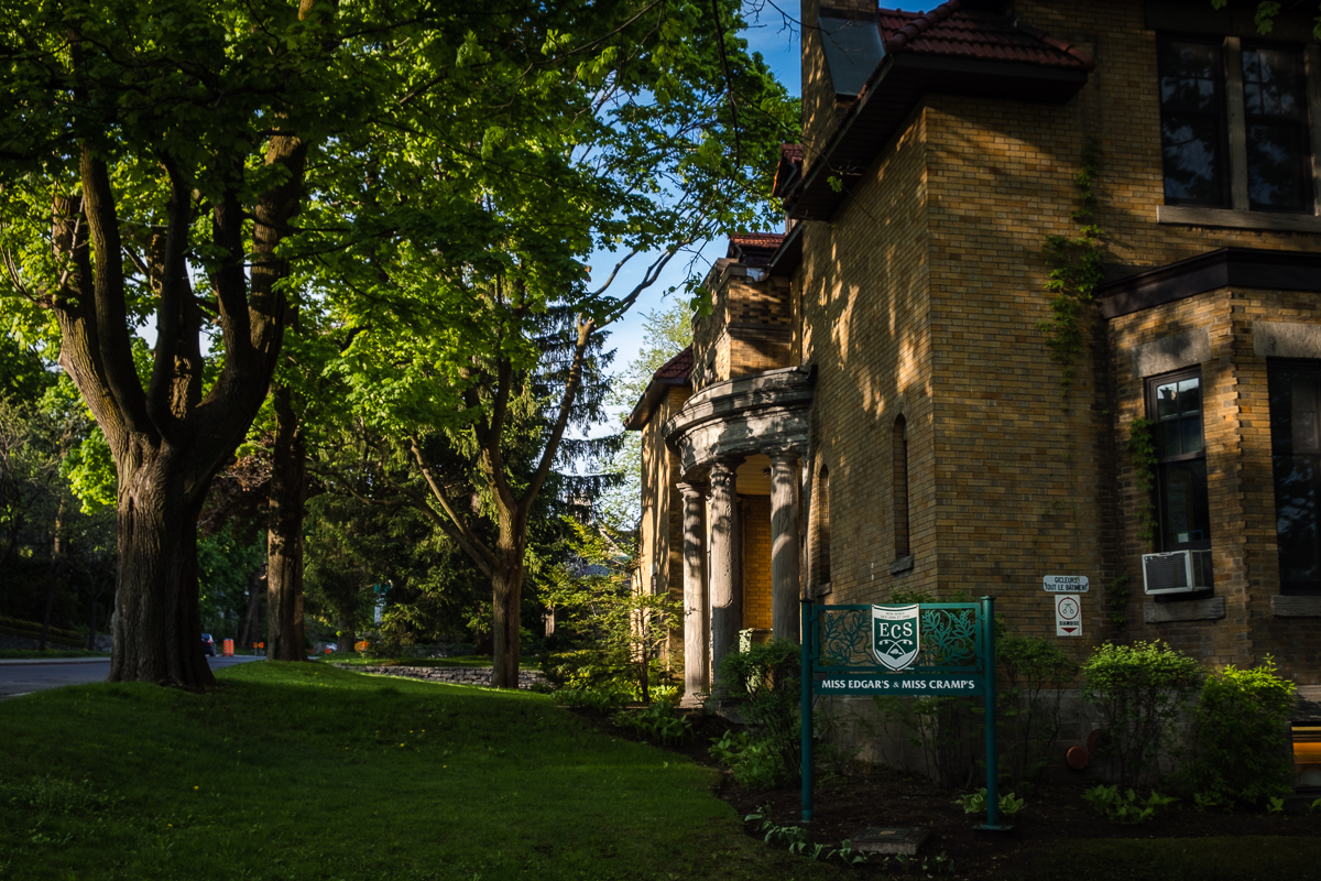 Avenue Cedar