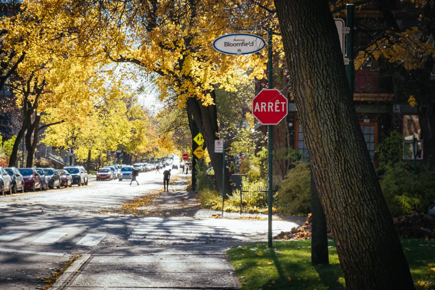 Avenue Lajoie