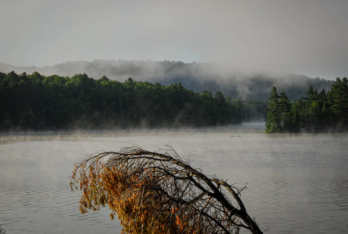 Reserve faunique Papineau-Labelle