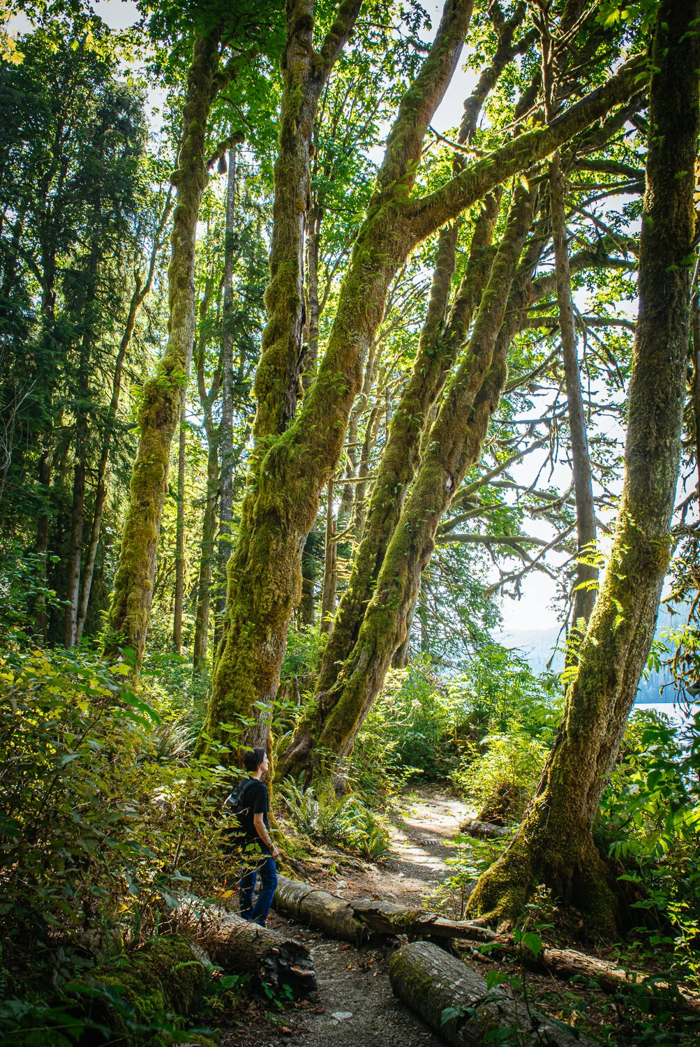 Buntzen Lake, BC