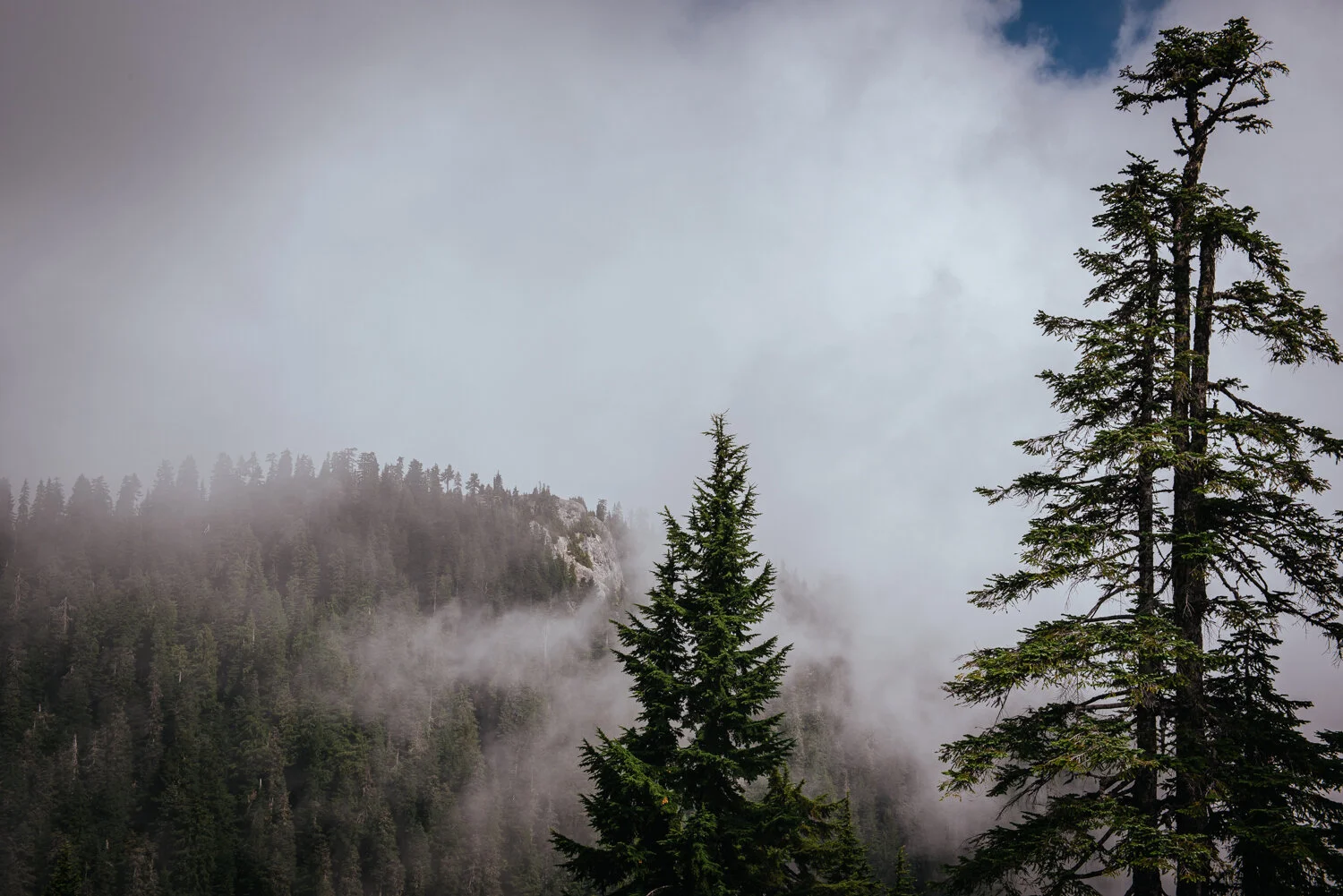 Grouse Mountain summit