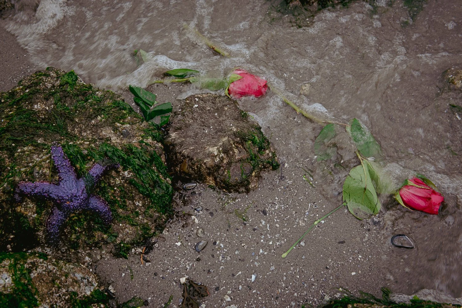 Someone else's ritual, Vancouver, BC
