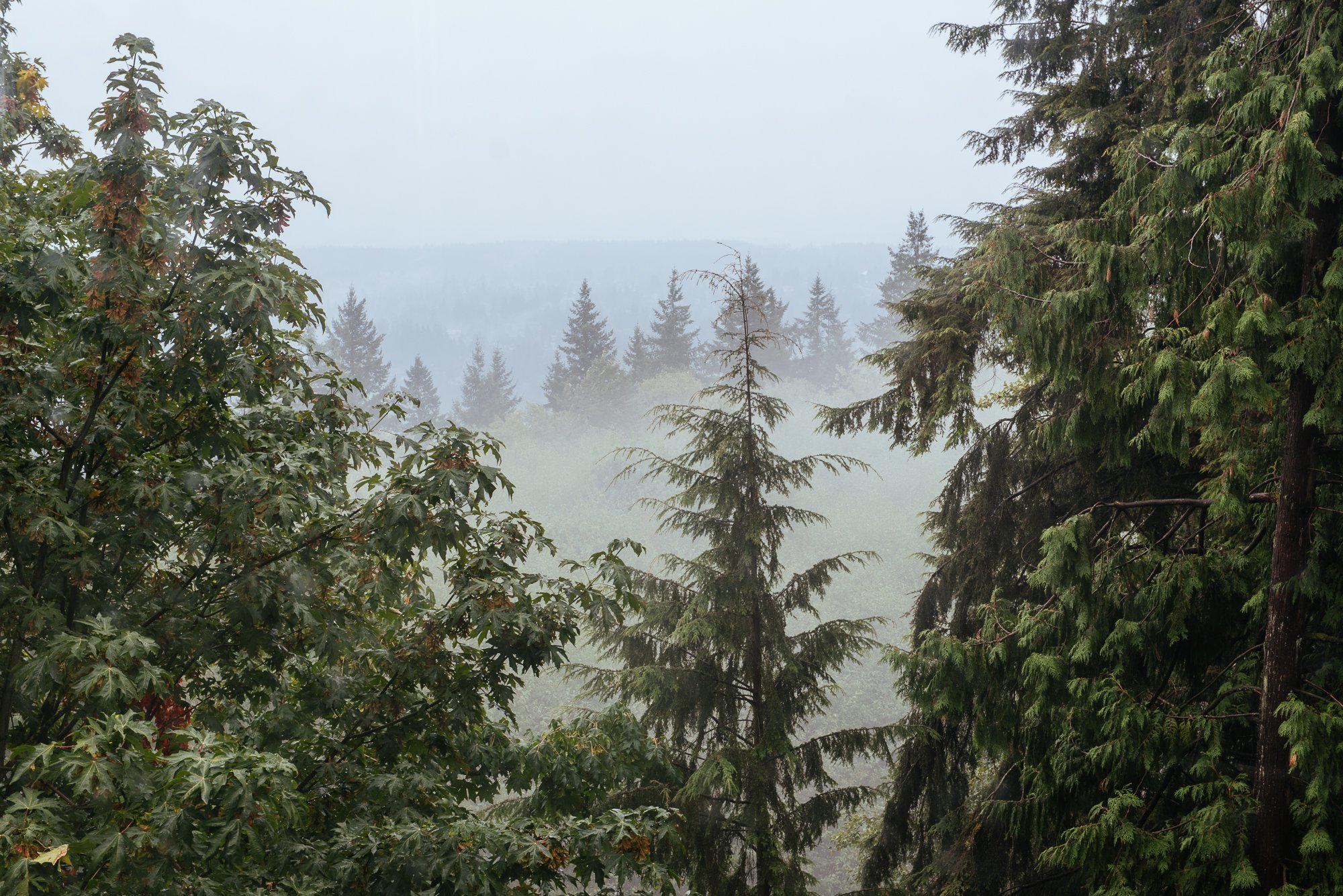 View from Sarah's balcony, Burnaby, BC