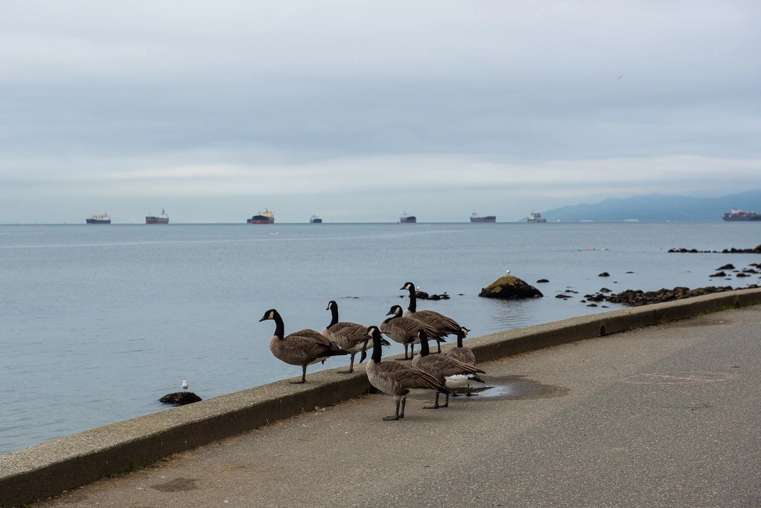 Stanley Park, BC