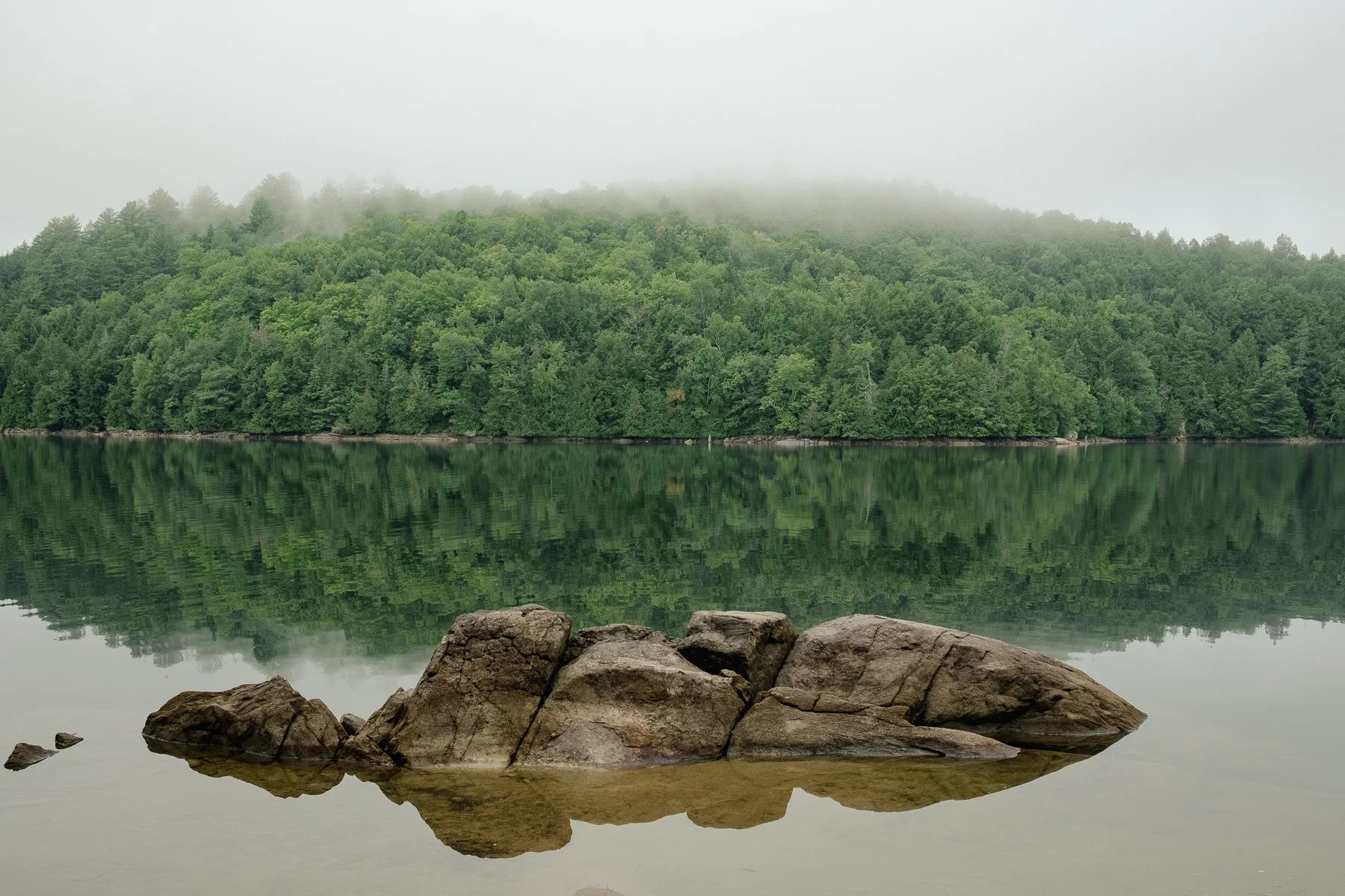 Parc régional du Poisson Blanc