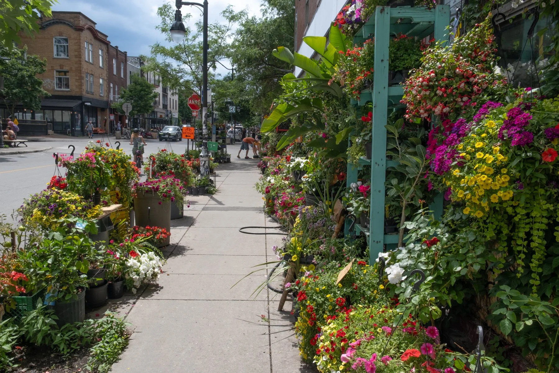 Rue Bernard O