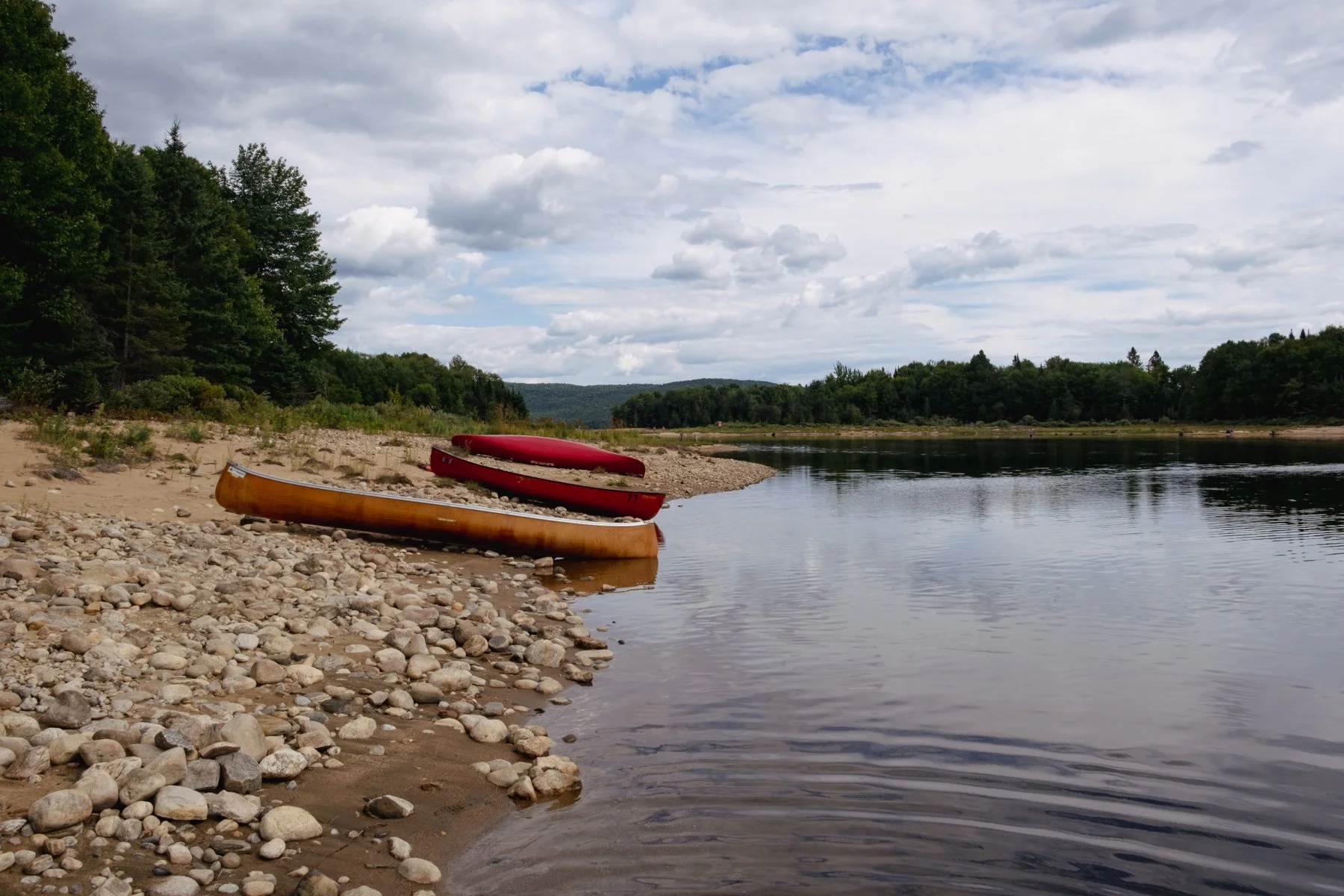 DSCF0691.jpg