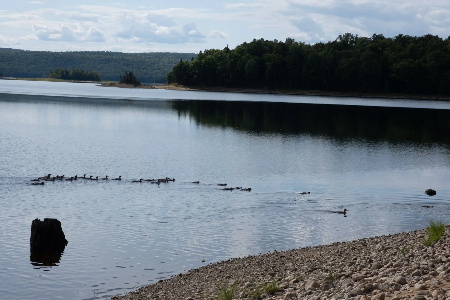 DSCF0725.jpg