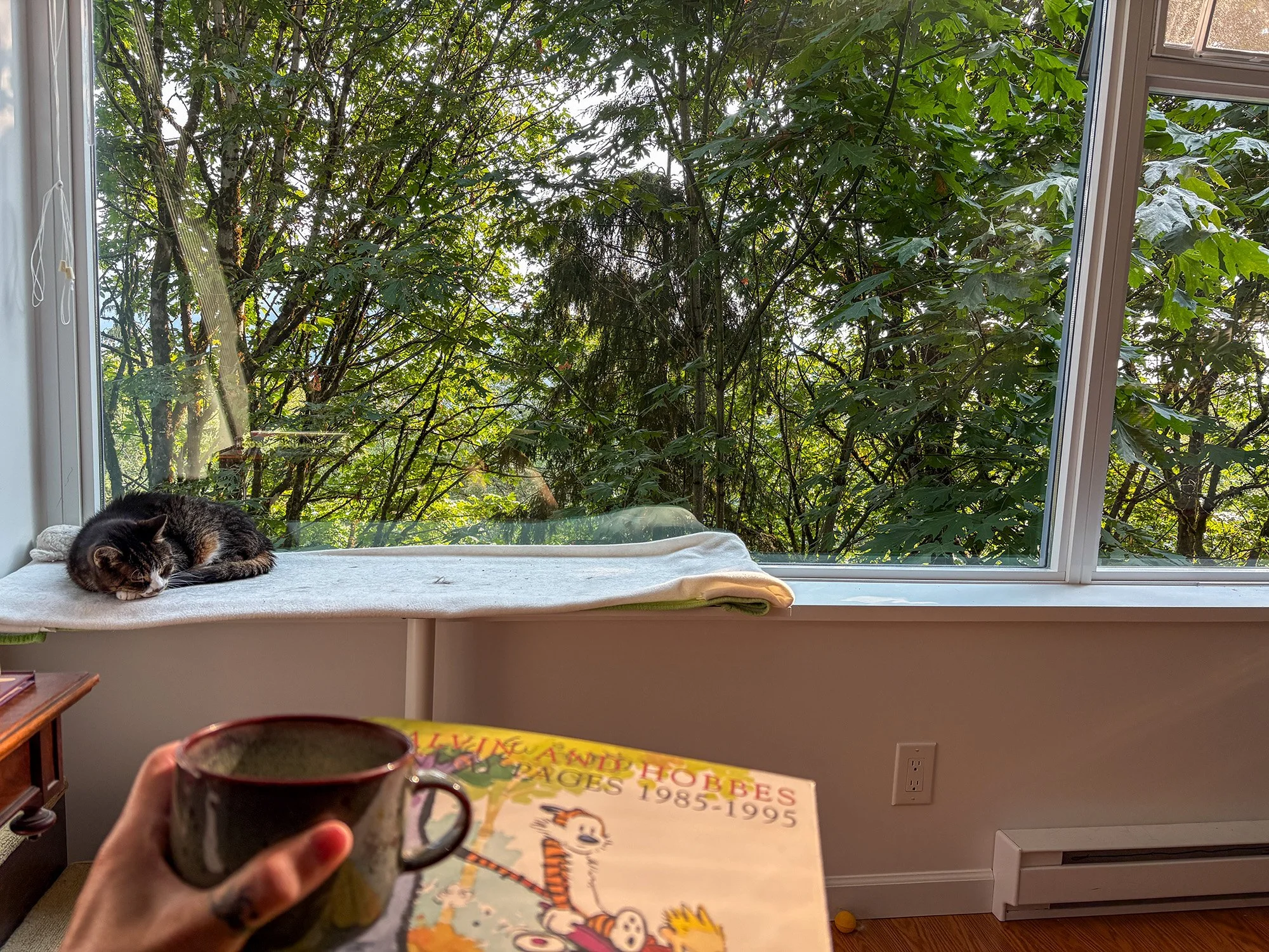 Petit déjeuner