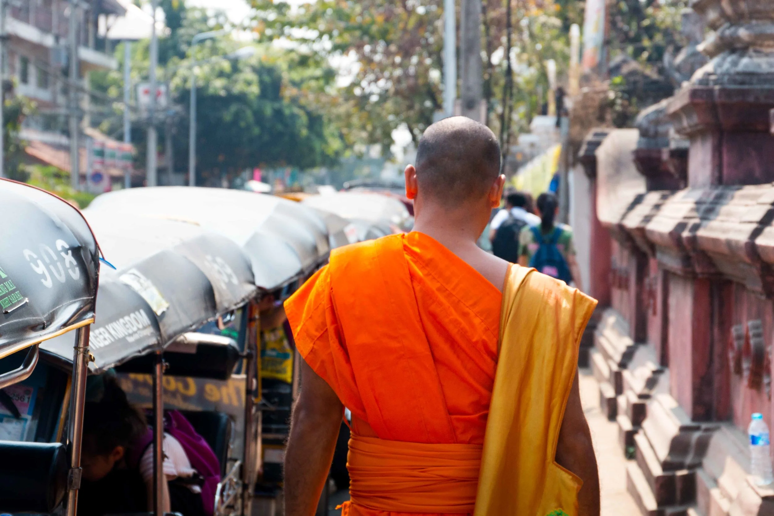 Chiang Mai (59 of 43).jpg