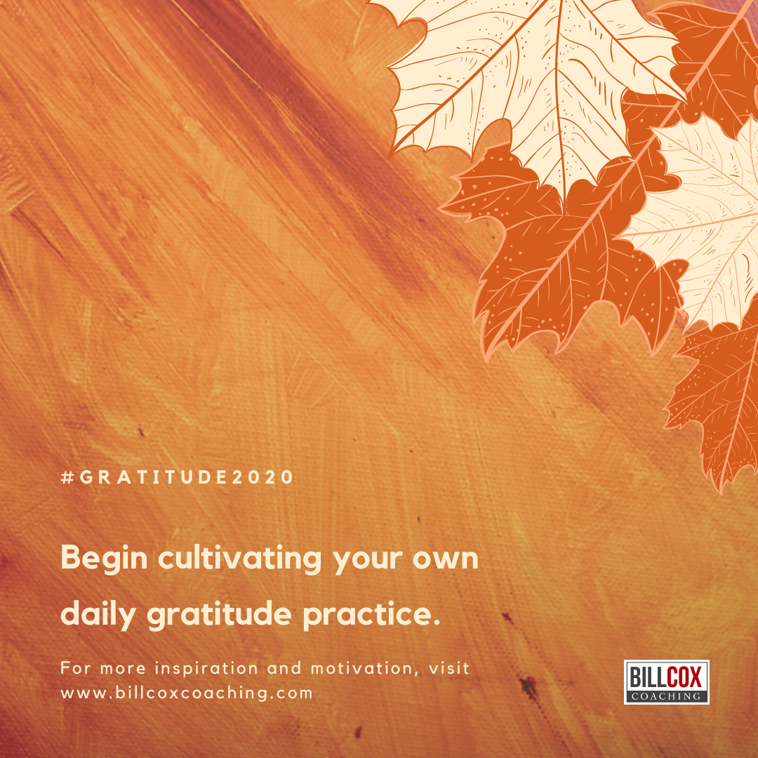 How will you cultivate your practice of Gratitude?
