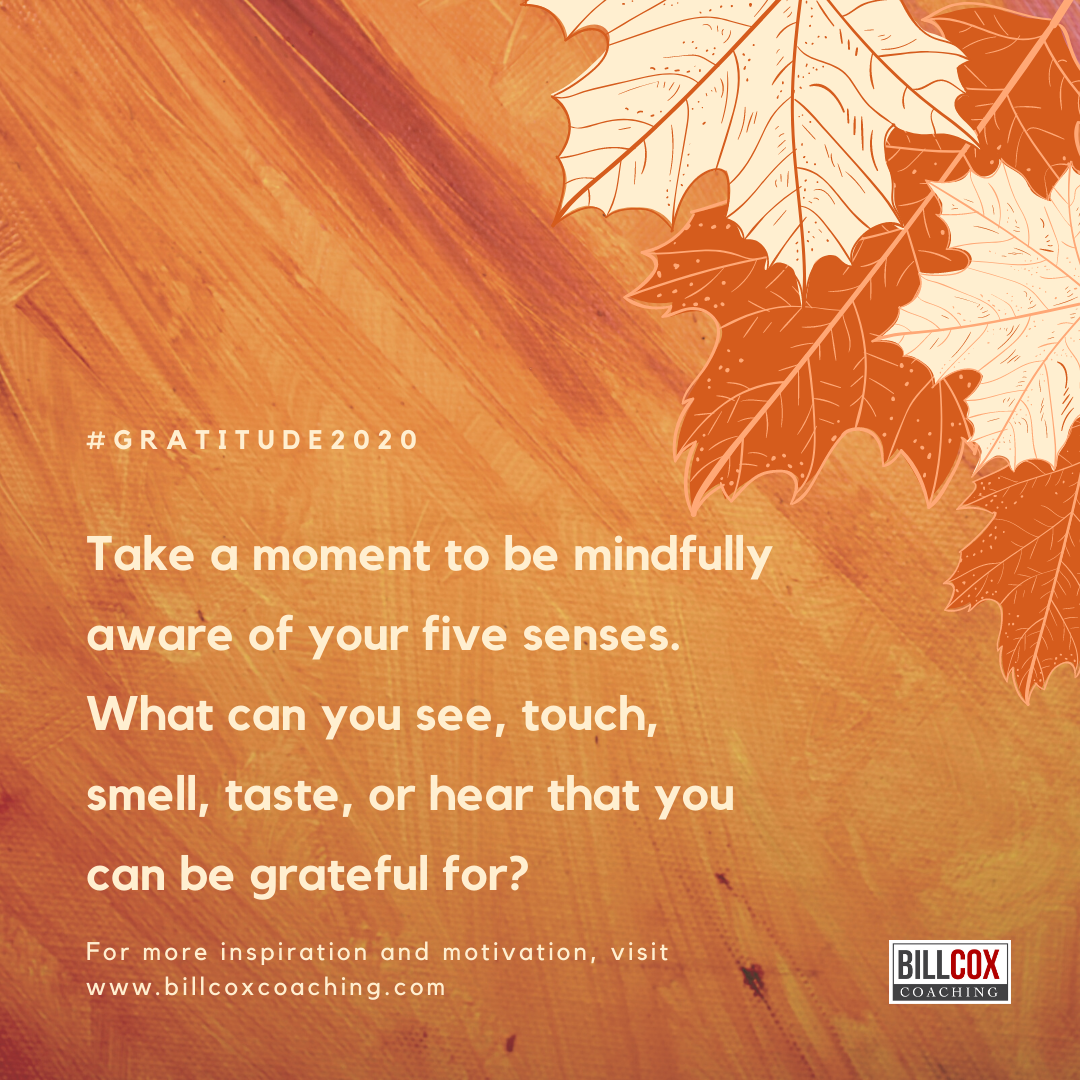 Gratitude helps you savor the moment