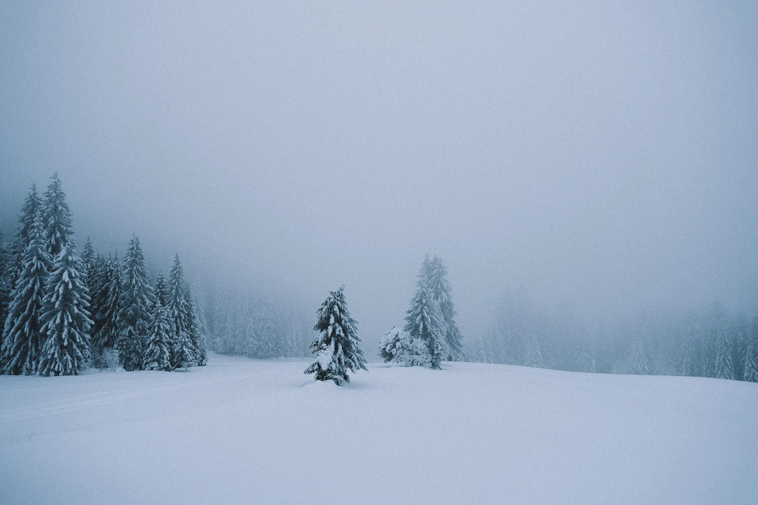 If you battle with seasonal depression like I do, this might help
