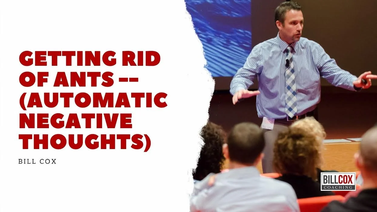 Do you have ANTs? (...and why they're harmful)