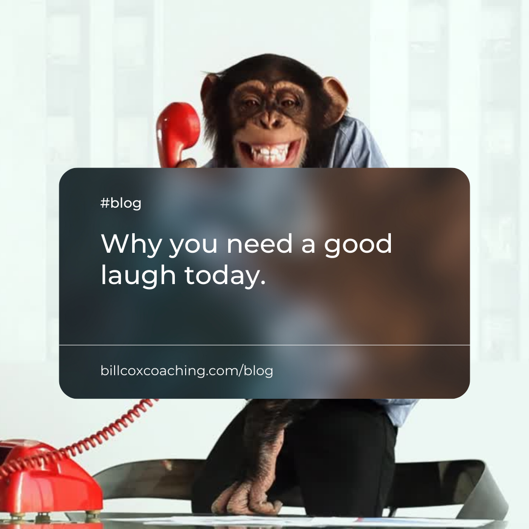 Why YOU need a good laugh today 😂