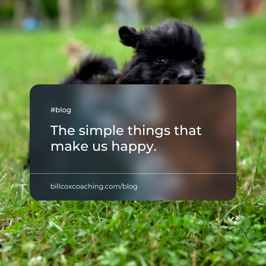 The simple things that make us happy 🐕