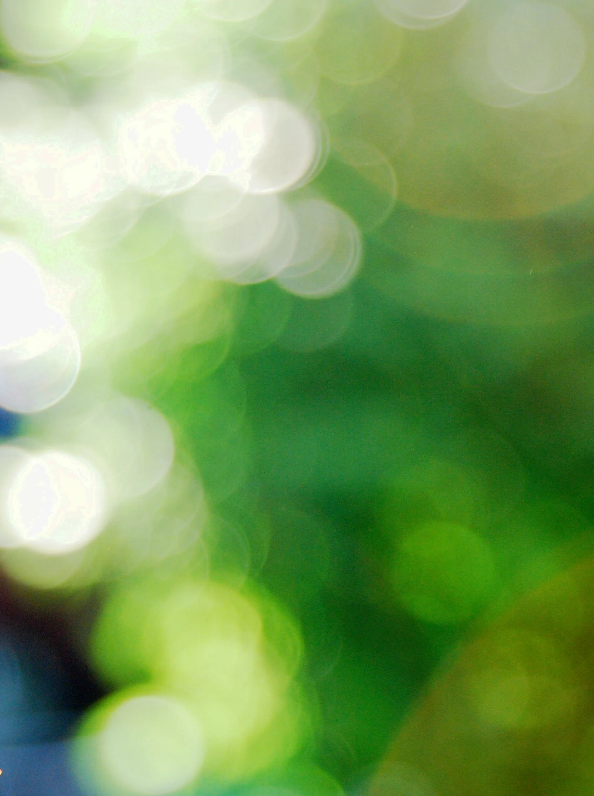 Copy of summerlight.JPG