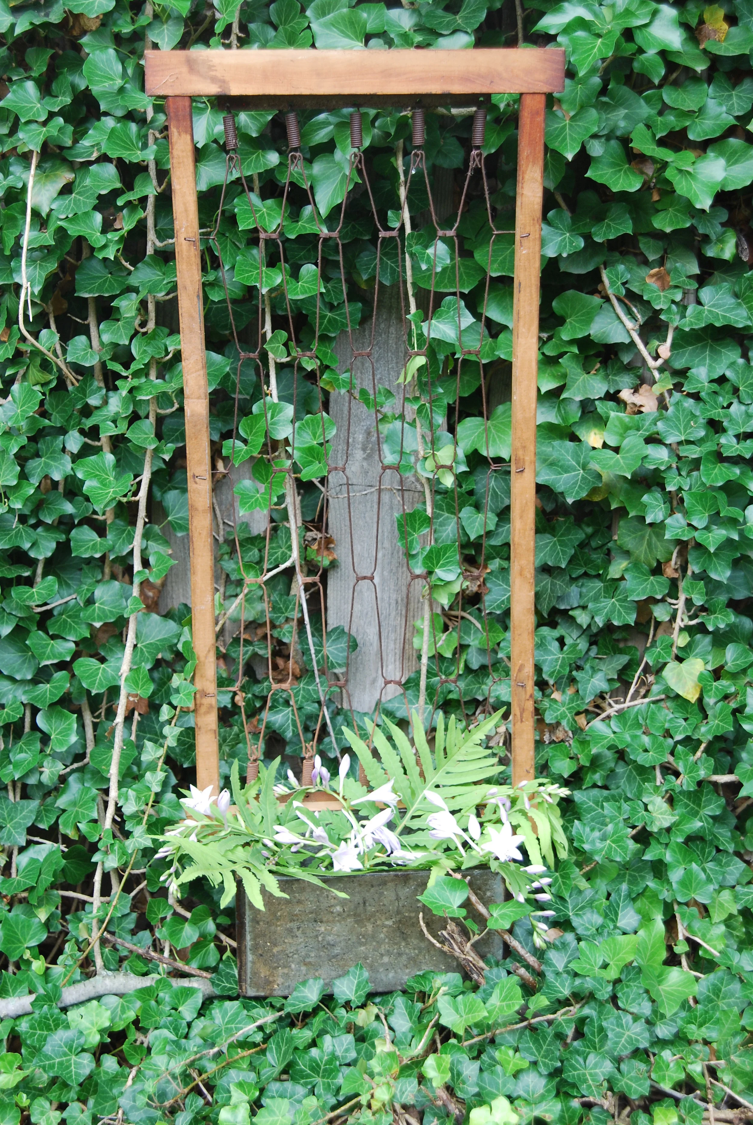 DSC_1165.JPG