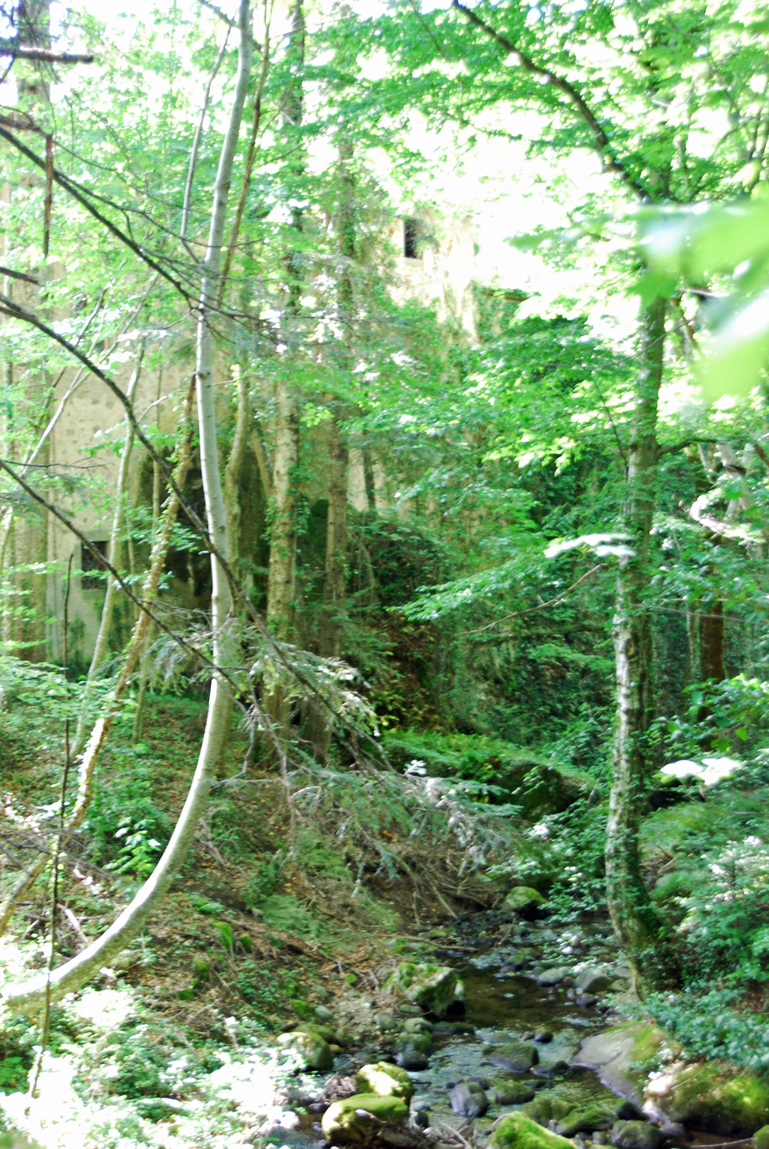 DSC_1813.JPG