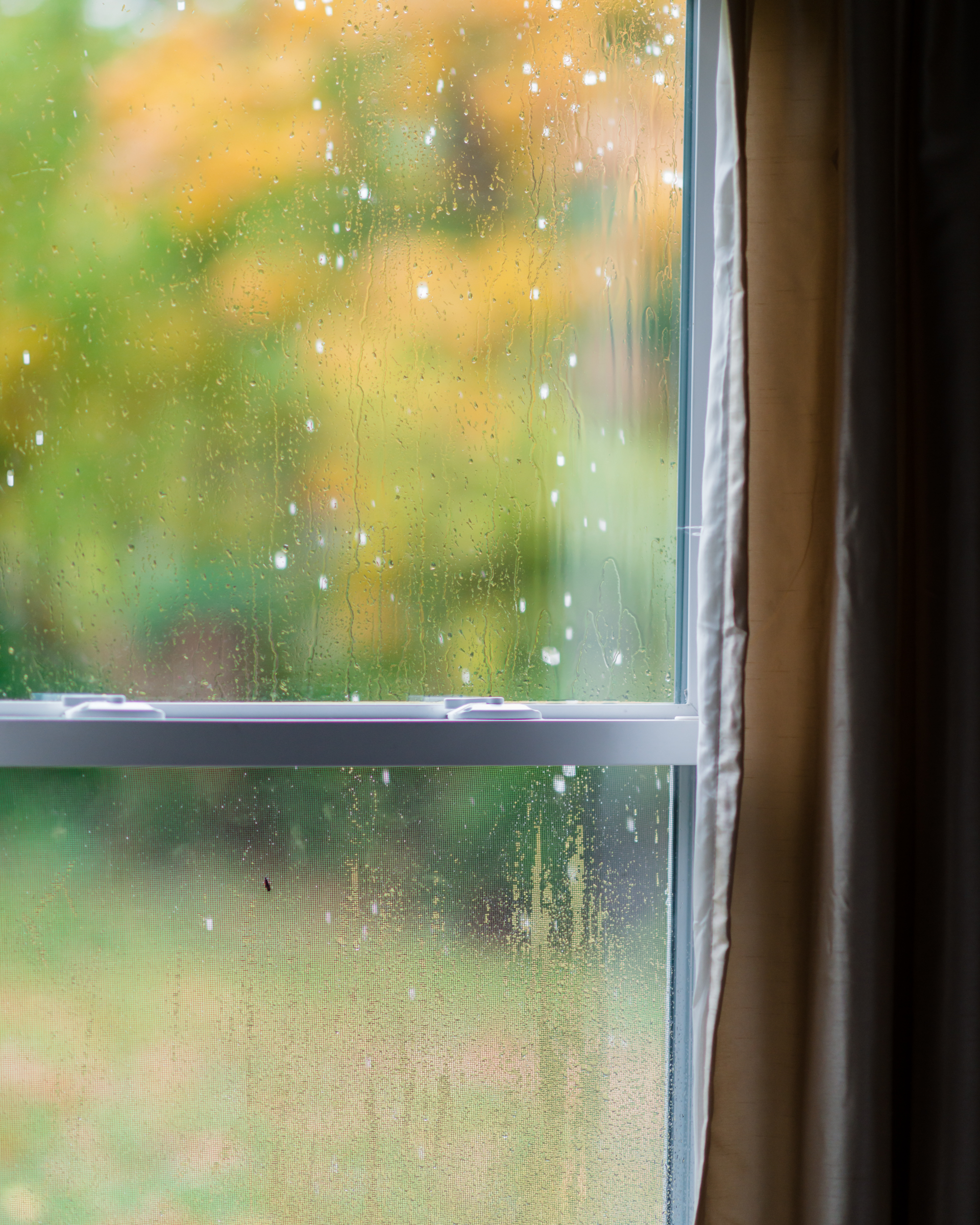Surrendering to Autumn | TetherandFly.com