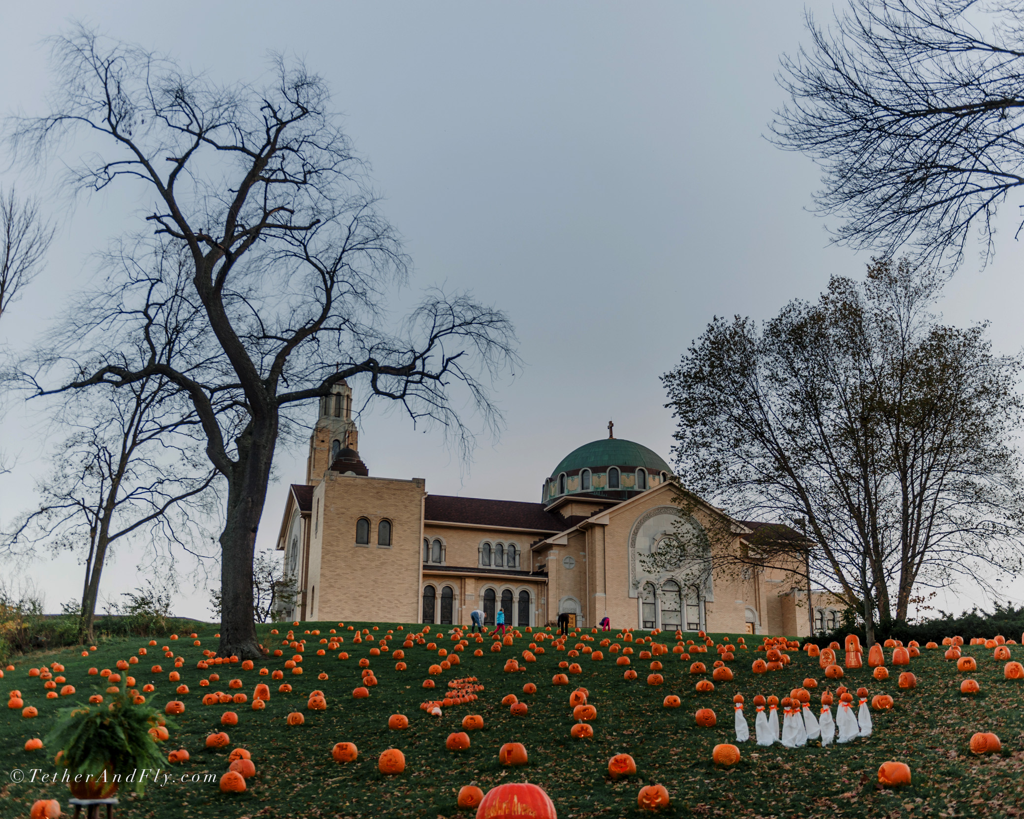 stoddard-pumpkin-glow-daytonohio-tether-and-fly9 copy.jpg