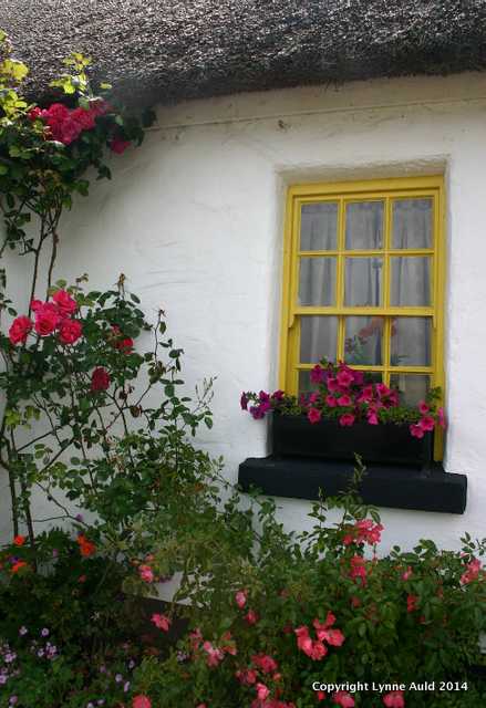 Cottage window med.jpg