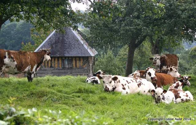 Normandy
